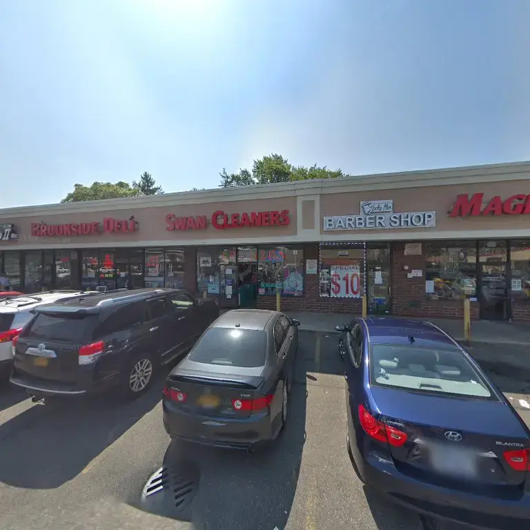 Swan Cleaners thumbnail 3