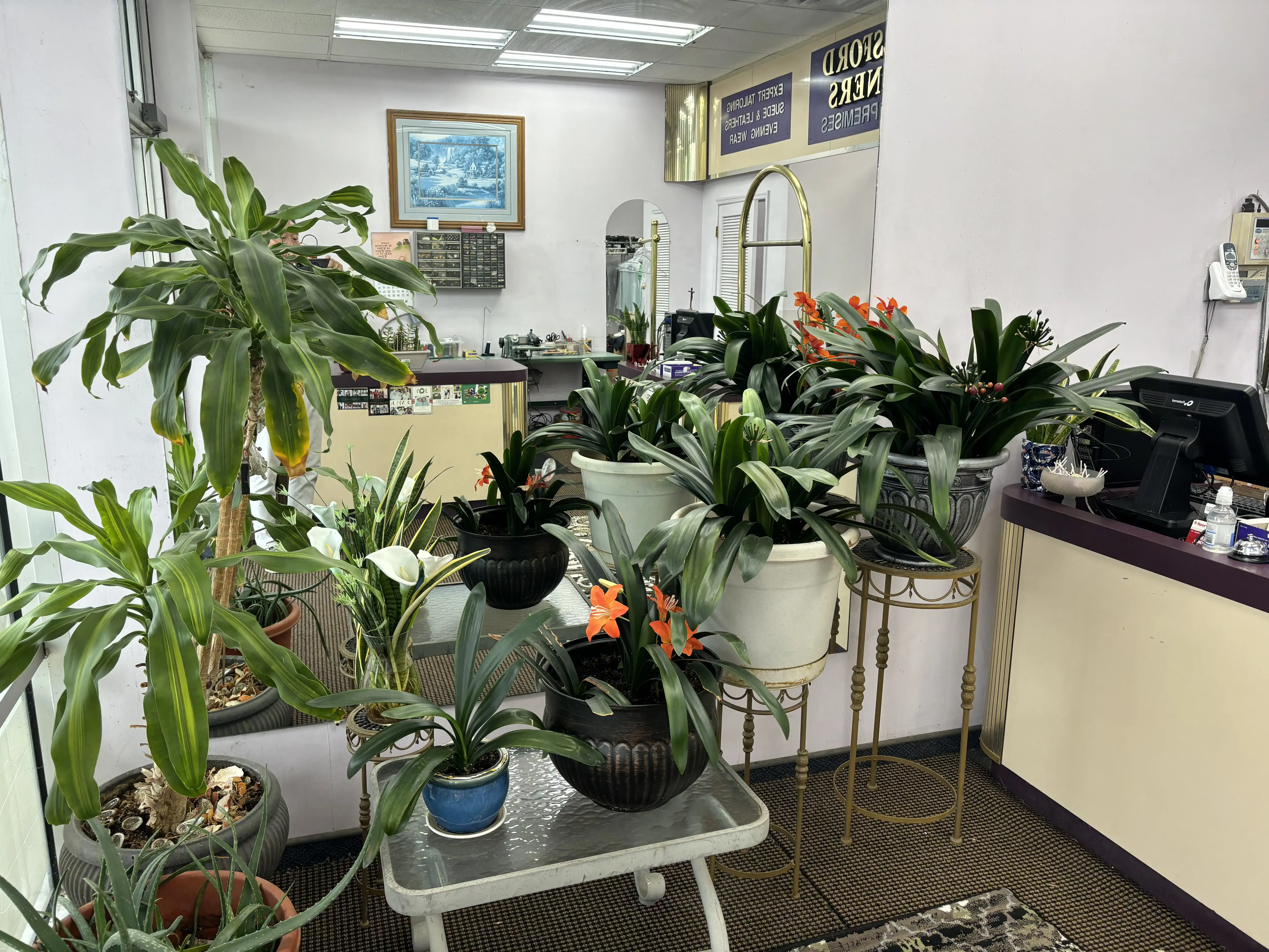 Swedesford Cleaners - Image 5