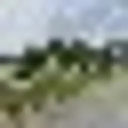 Swift Suds - Image 7