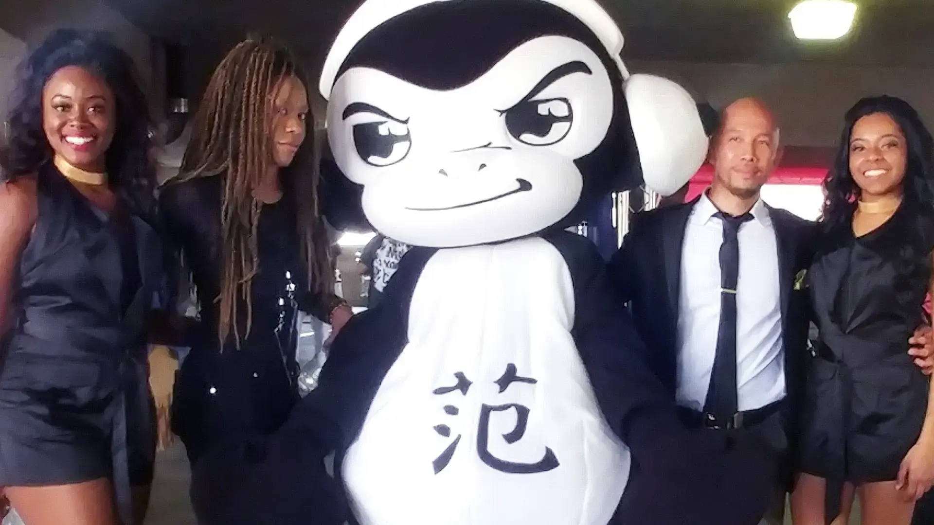 Swiss the Greener Dry Cleaners thumbnail 12