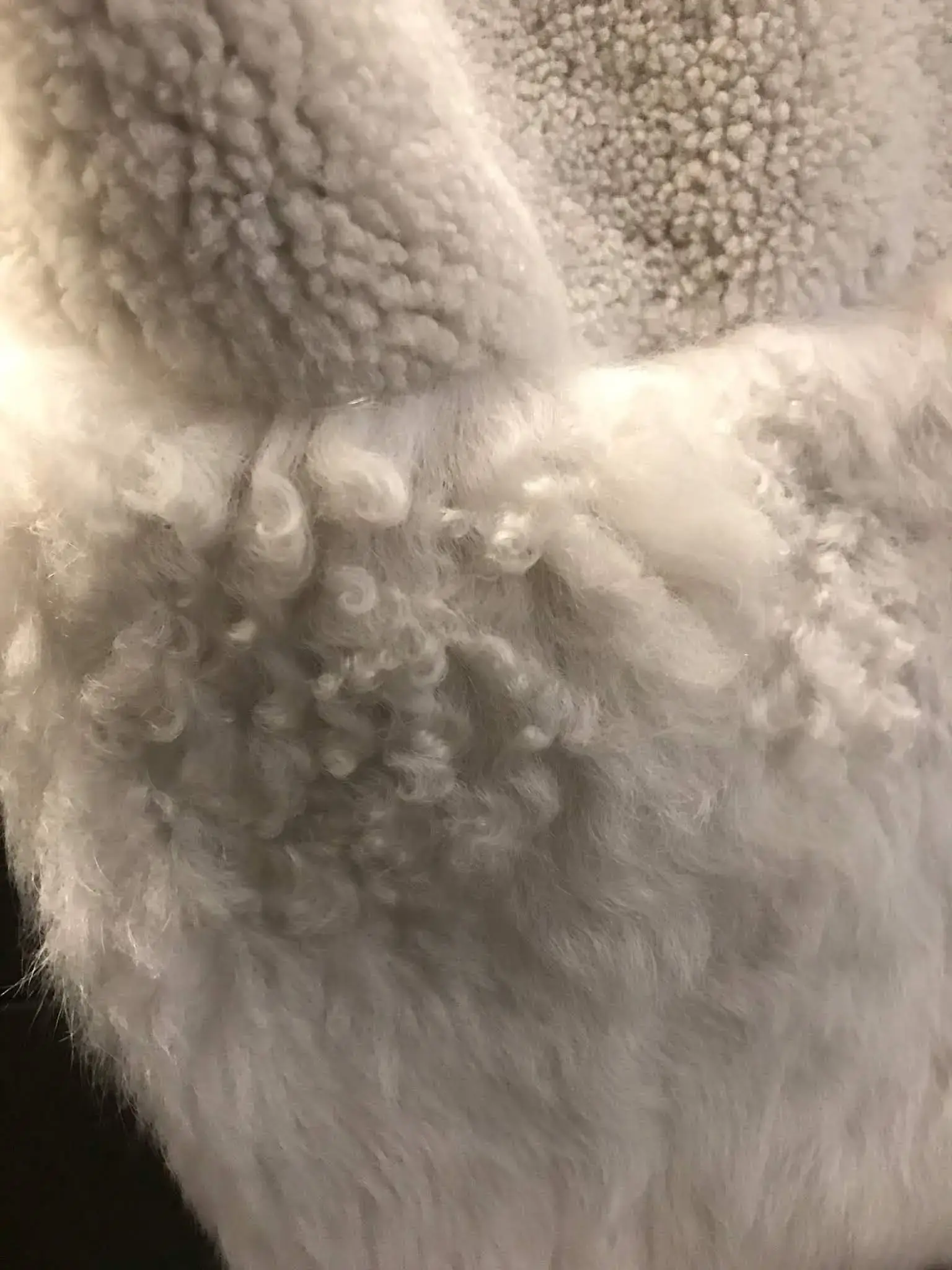 Swiss the Greener Dry Cleaners thumbnail 11