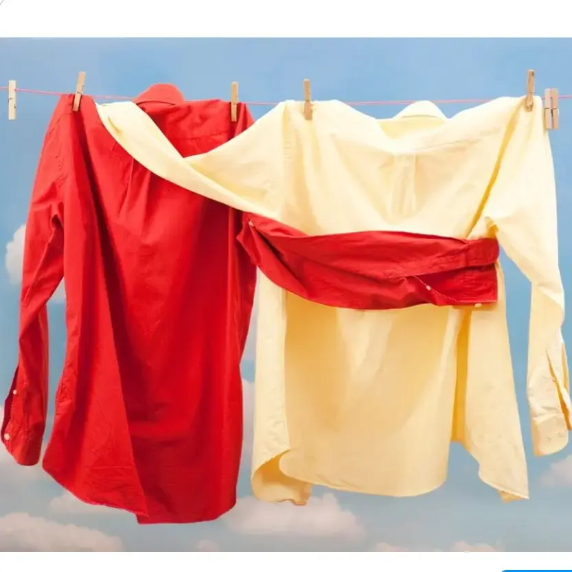 Swiss the Greener Dry Cleaners - Image 4