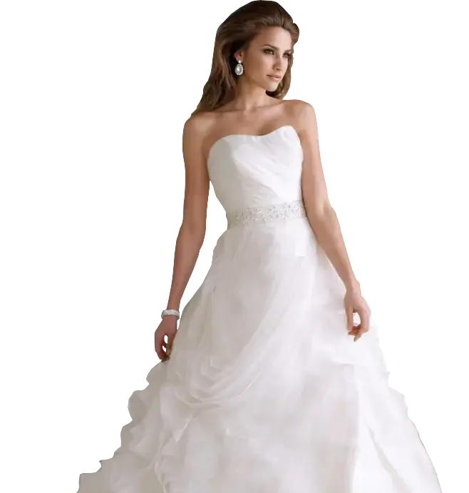 Swiss the Greener Dry Cleaners location