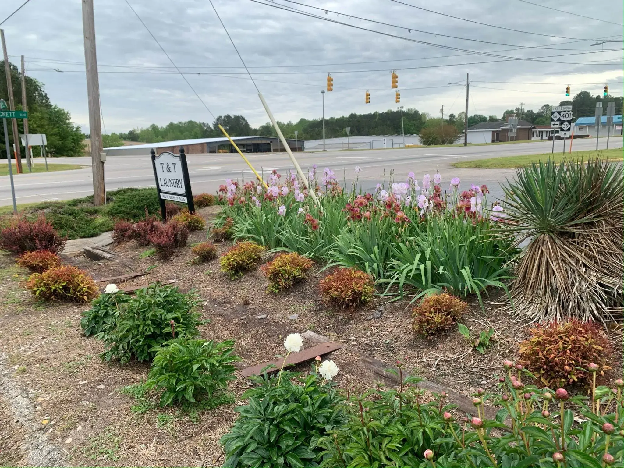 T & T Laundries, Inc. - Image 3