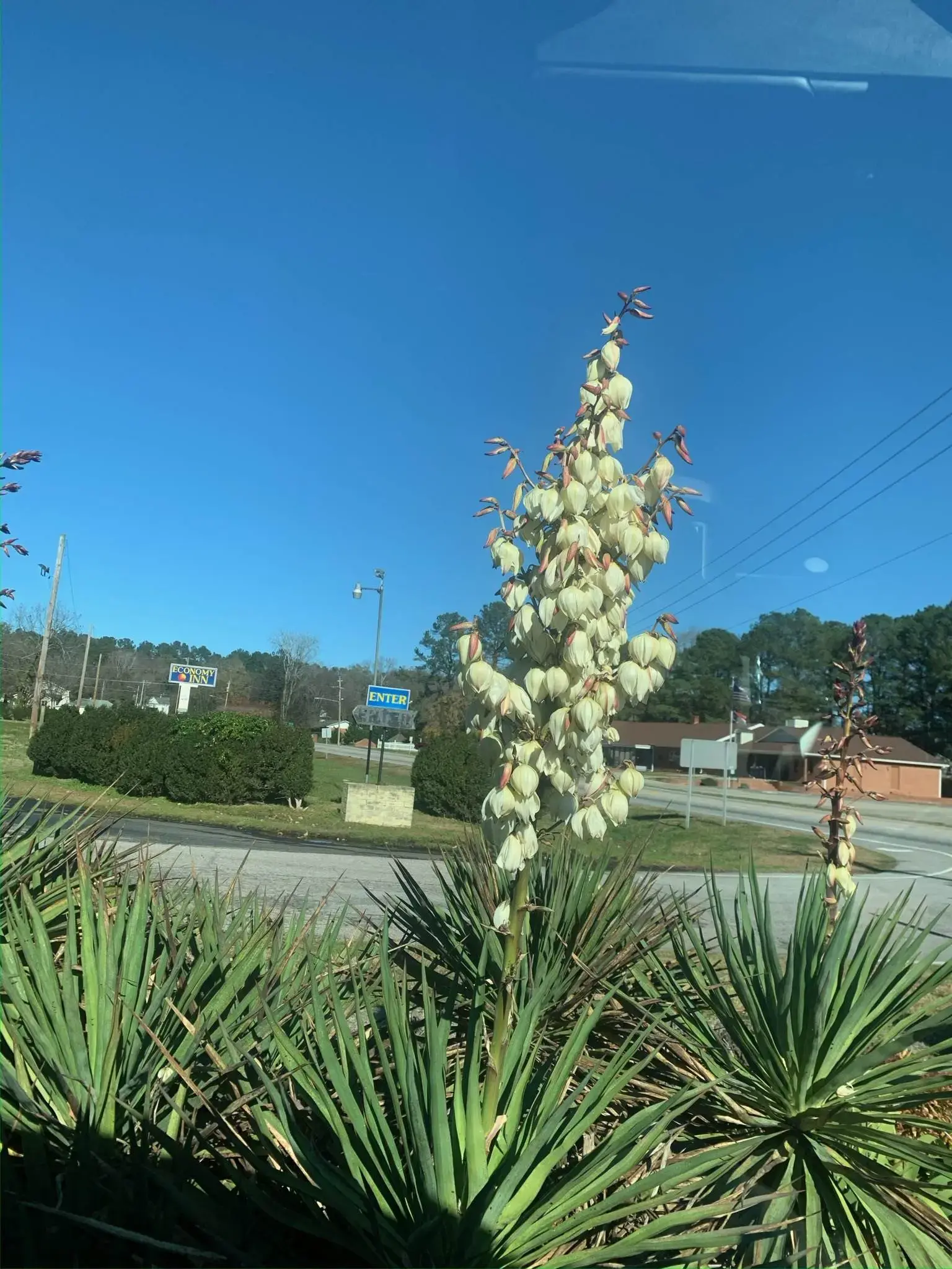 T & T Laundries, Inc. thumbnail 9