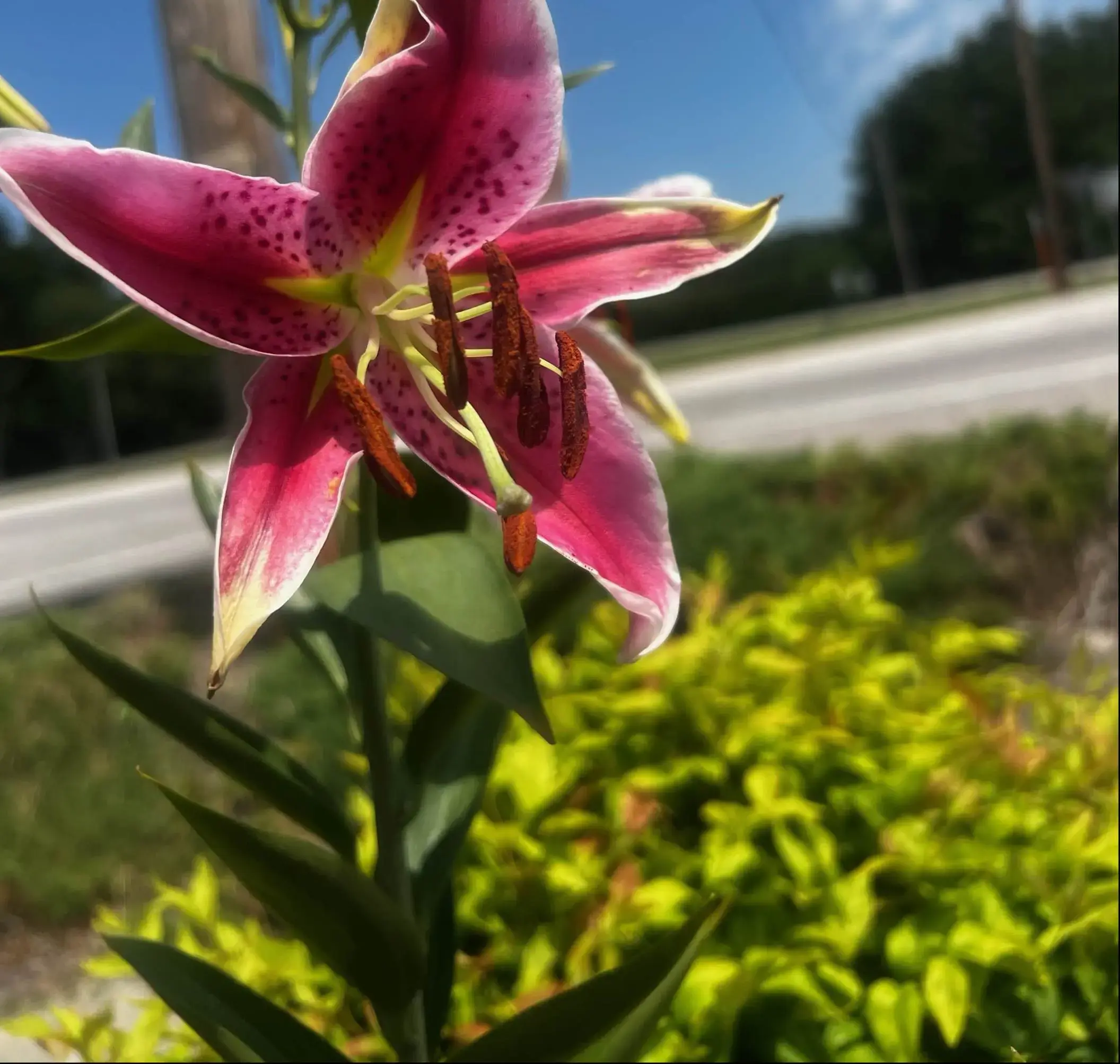 T & T Laundries, Inc. - Image 8