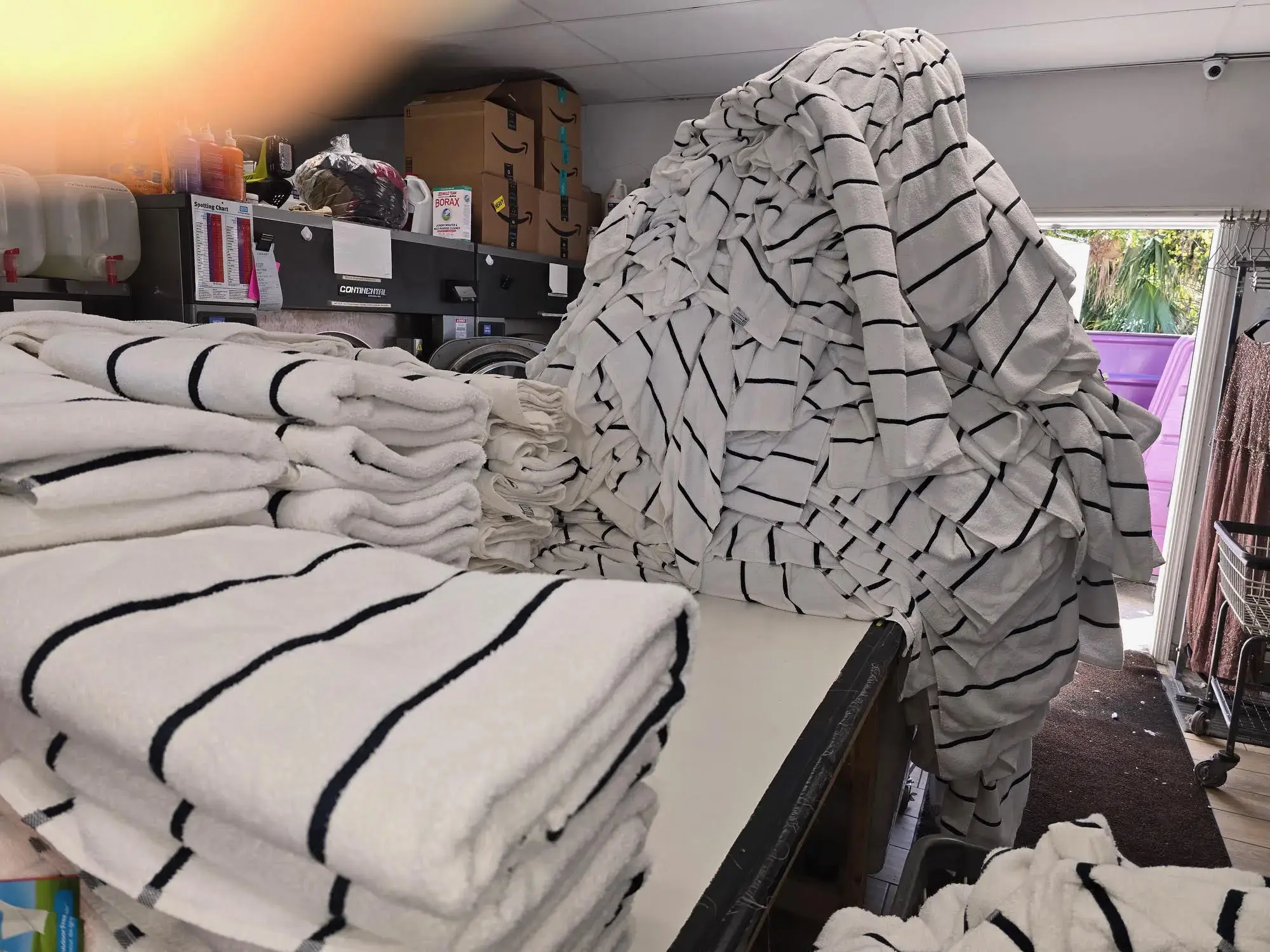 Tampa Laundry Company - Image 5