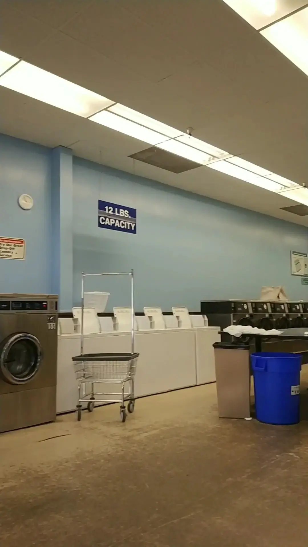 Teddy Bear Coin Laundry - Image 2