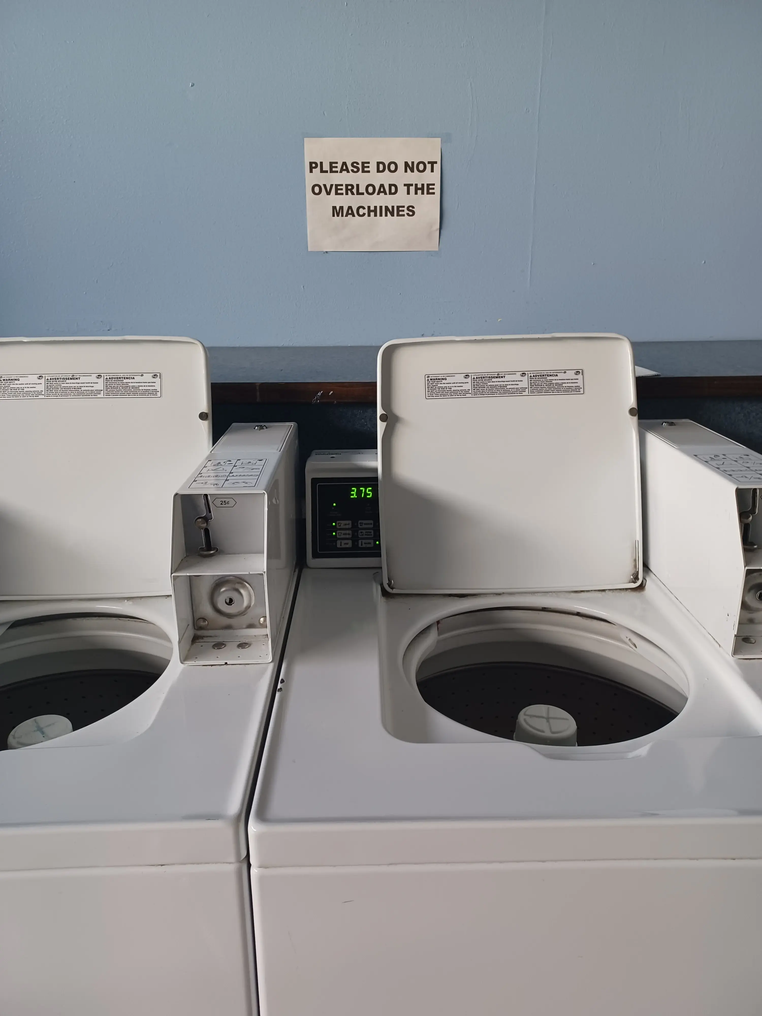 Teddy Bear Coin Laundry - Image 7