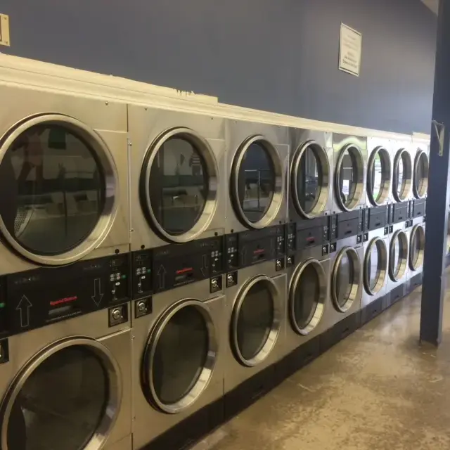 Teddy Bear Coin Laundry thumbnail 3
