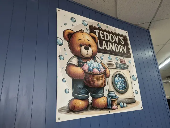 Teddy's Laundry thumbnail 3