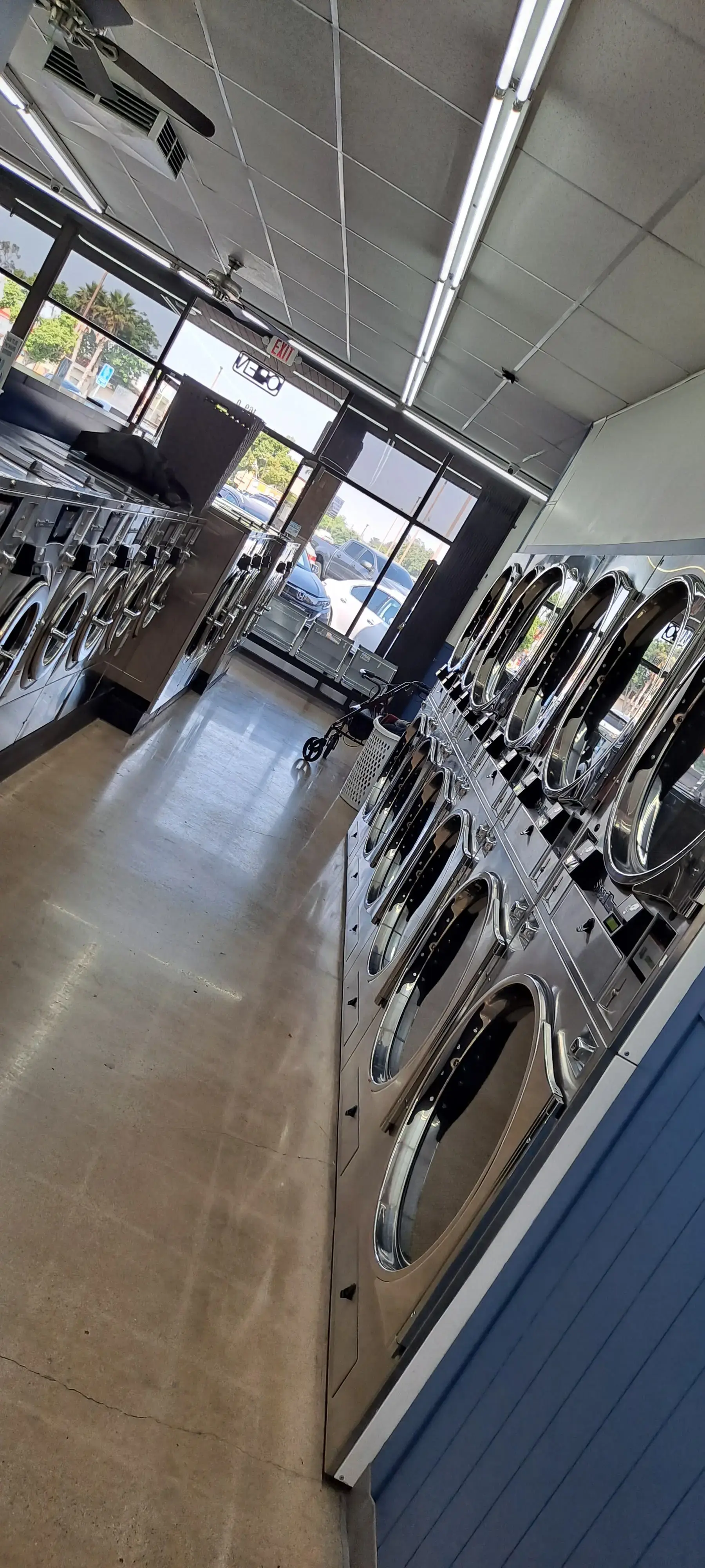Teddy's Laundry thumbnail 5