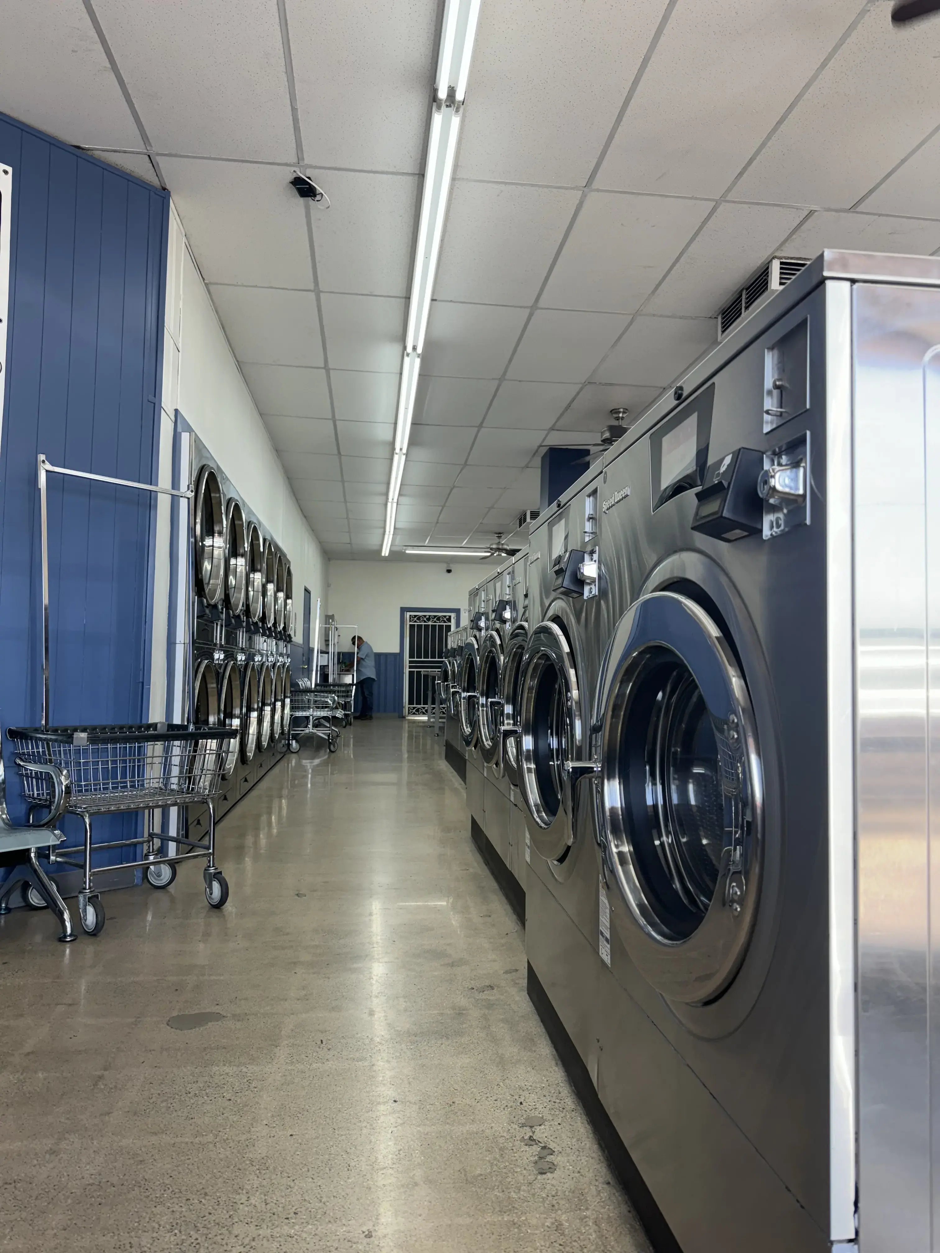 Teddy's Laundry - Image 2
