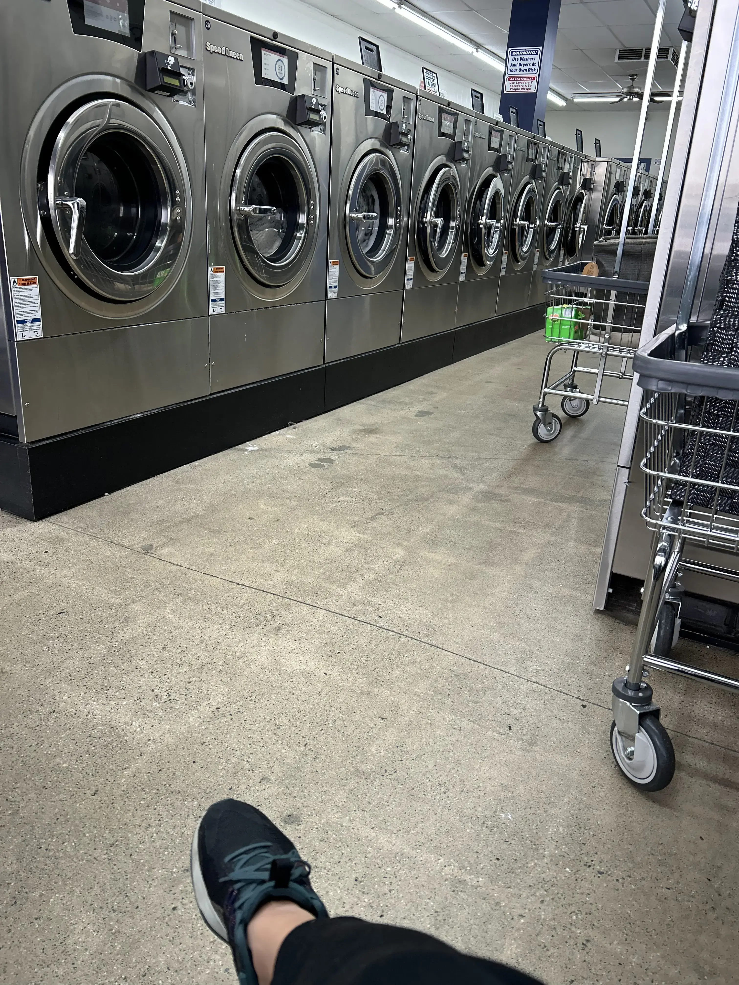 Teddy's Laundry - Image 14