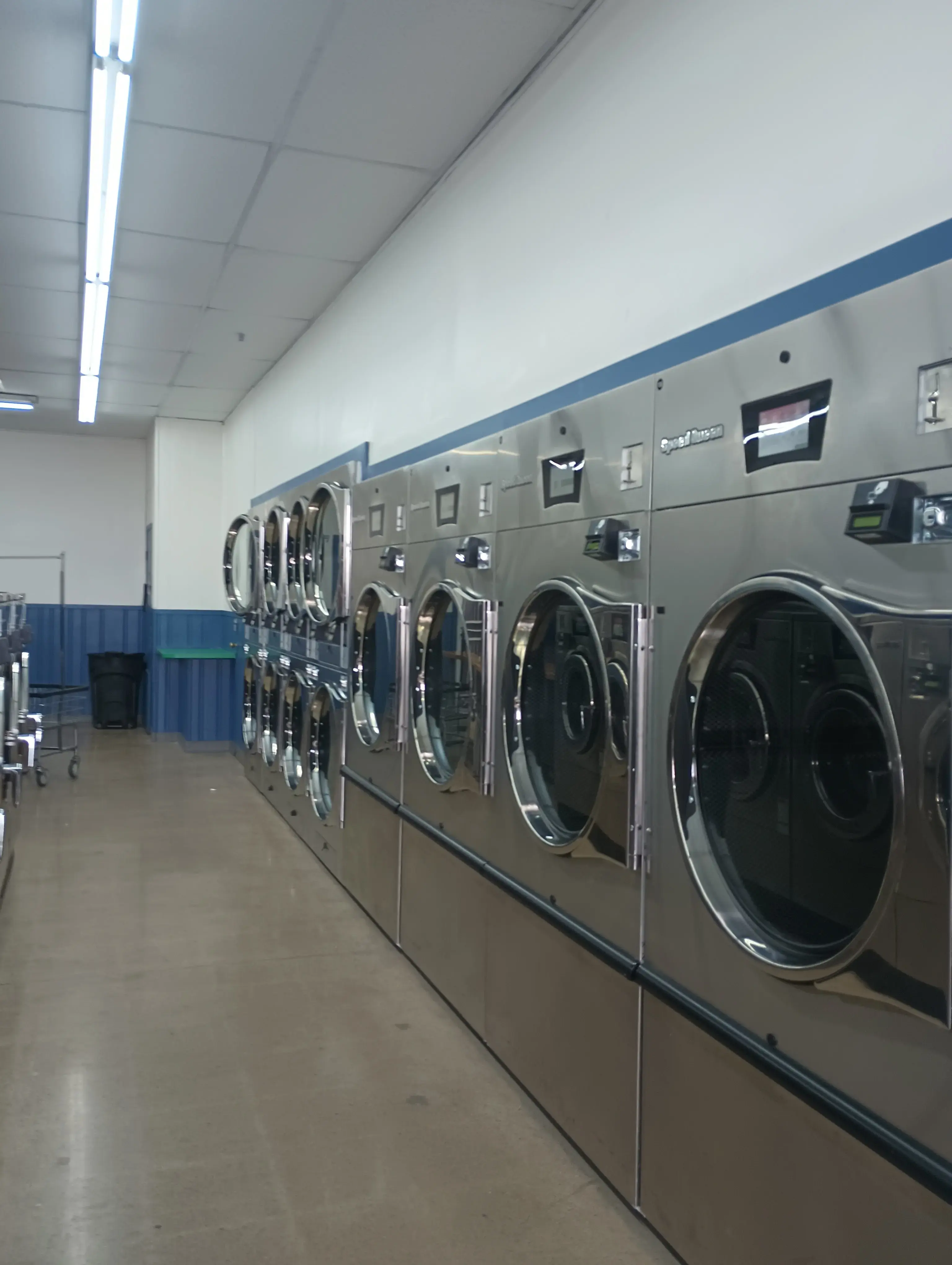Teddy's Laundry - Image 16