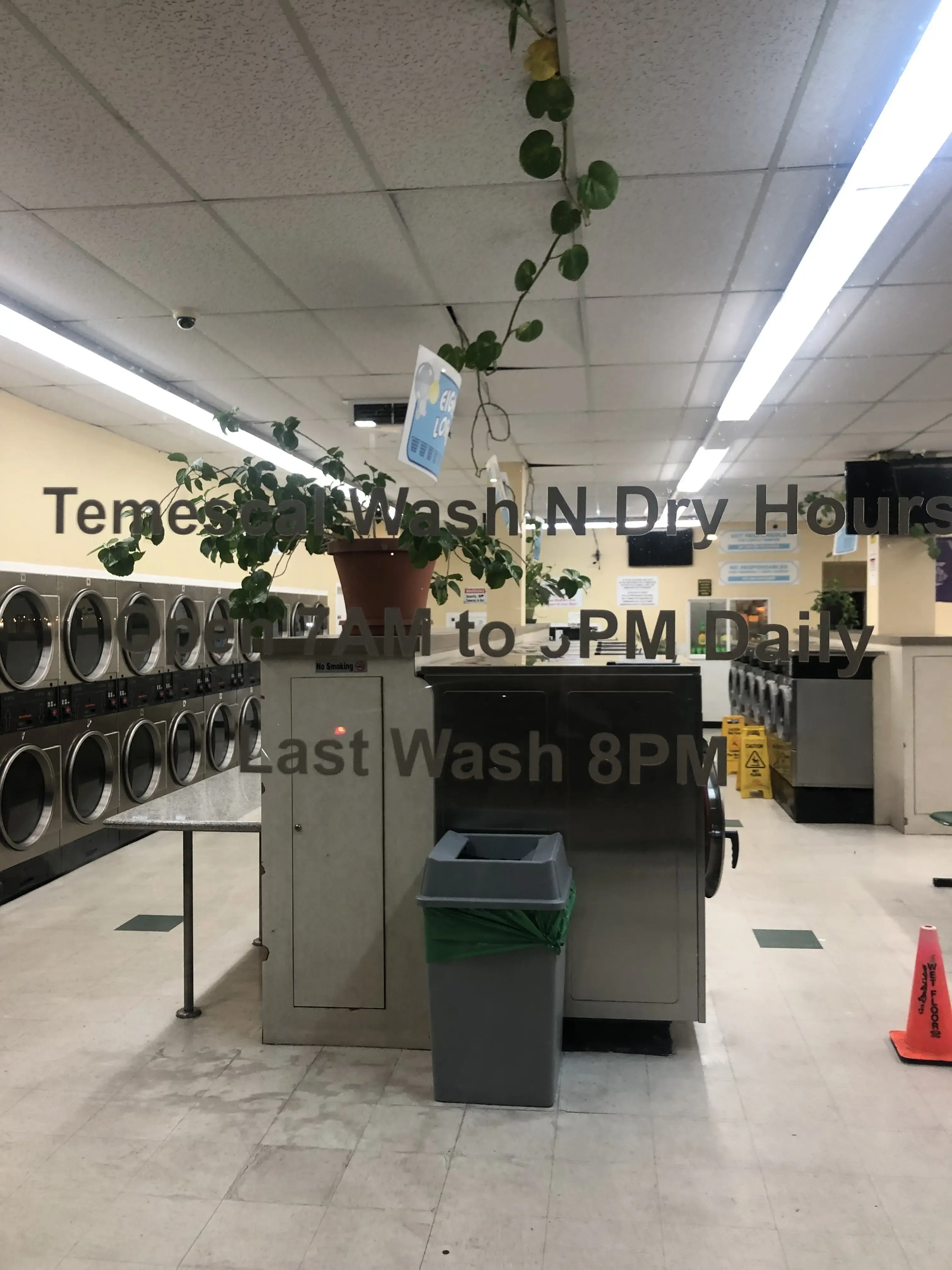 Temescal Wash and Dry - Image 5
