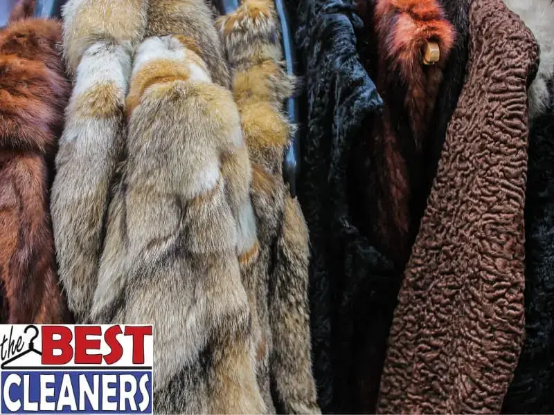 The Best Cleaners & Laundry thumbnail 20