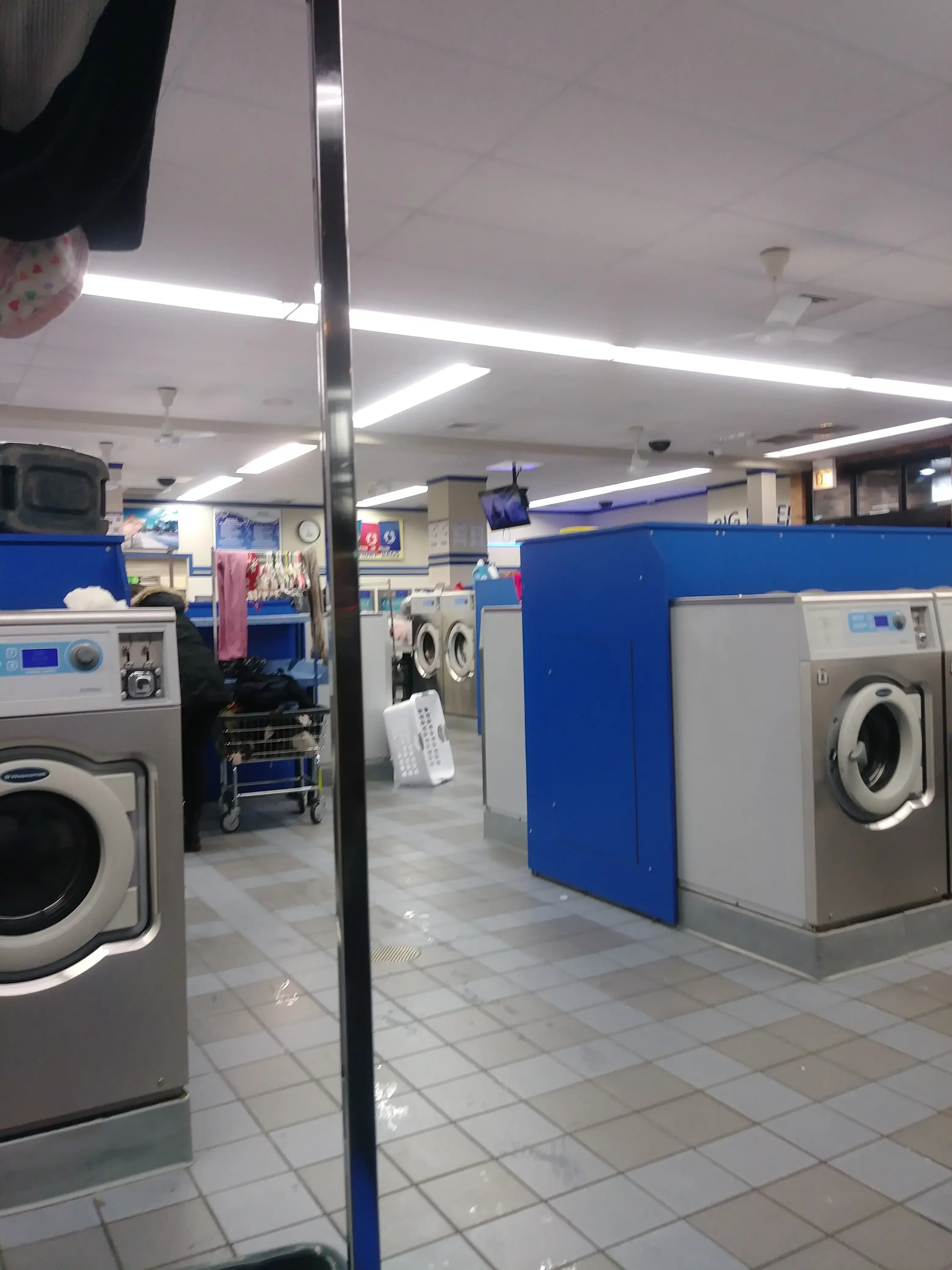 The Blue Kangaroo - Image 20