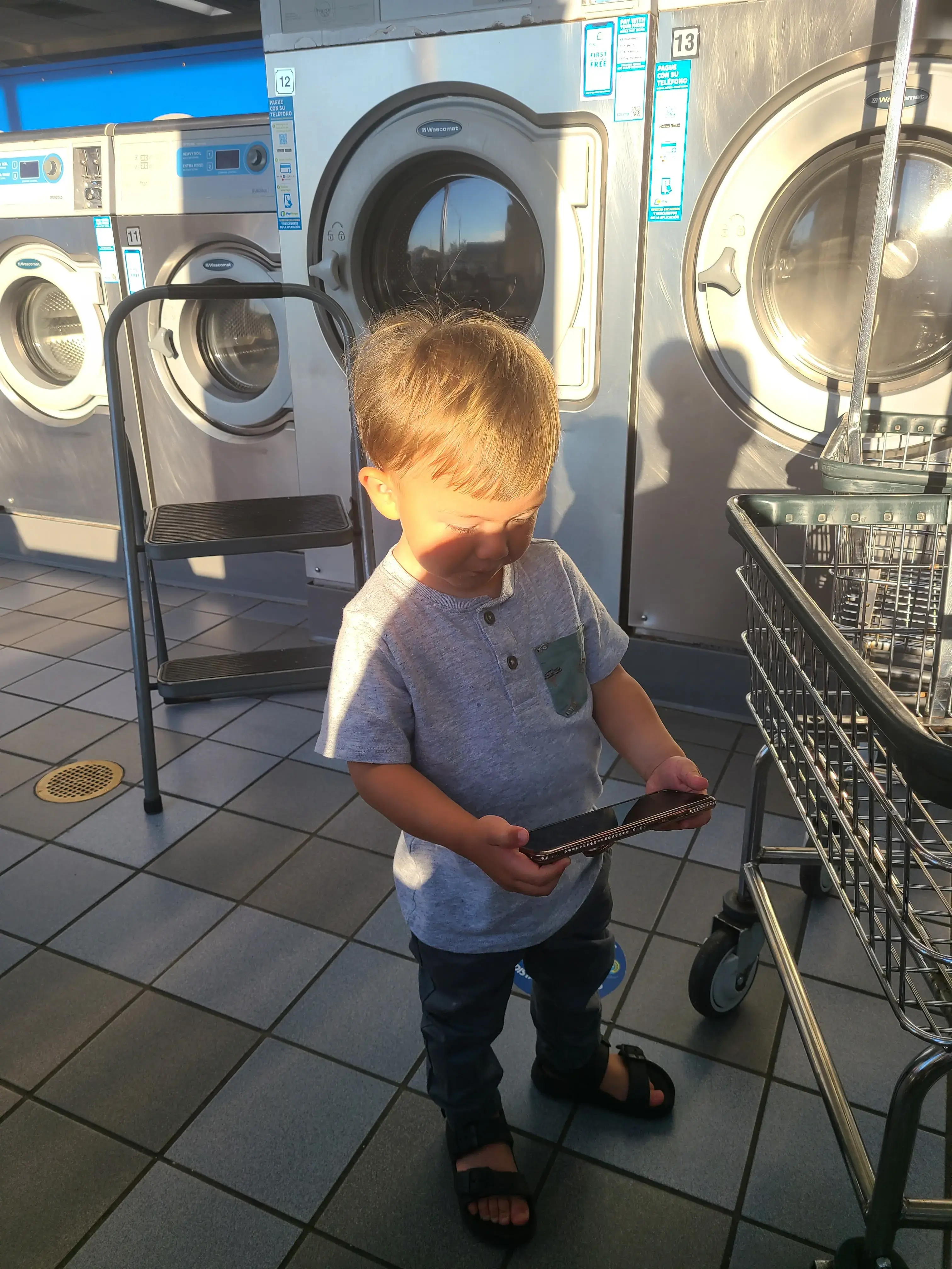 The Blue Kangaroo - Image 6