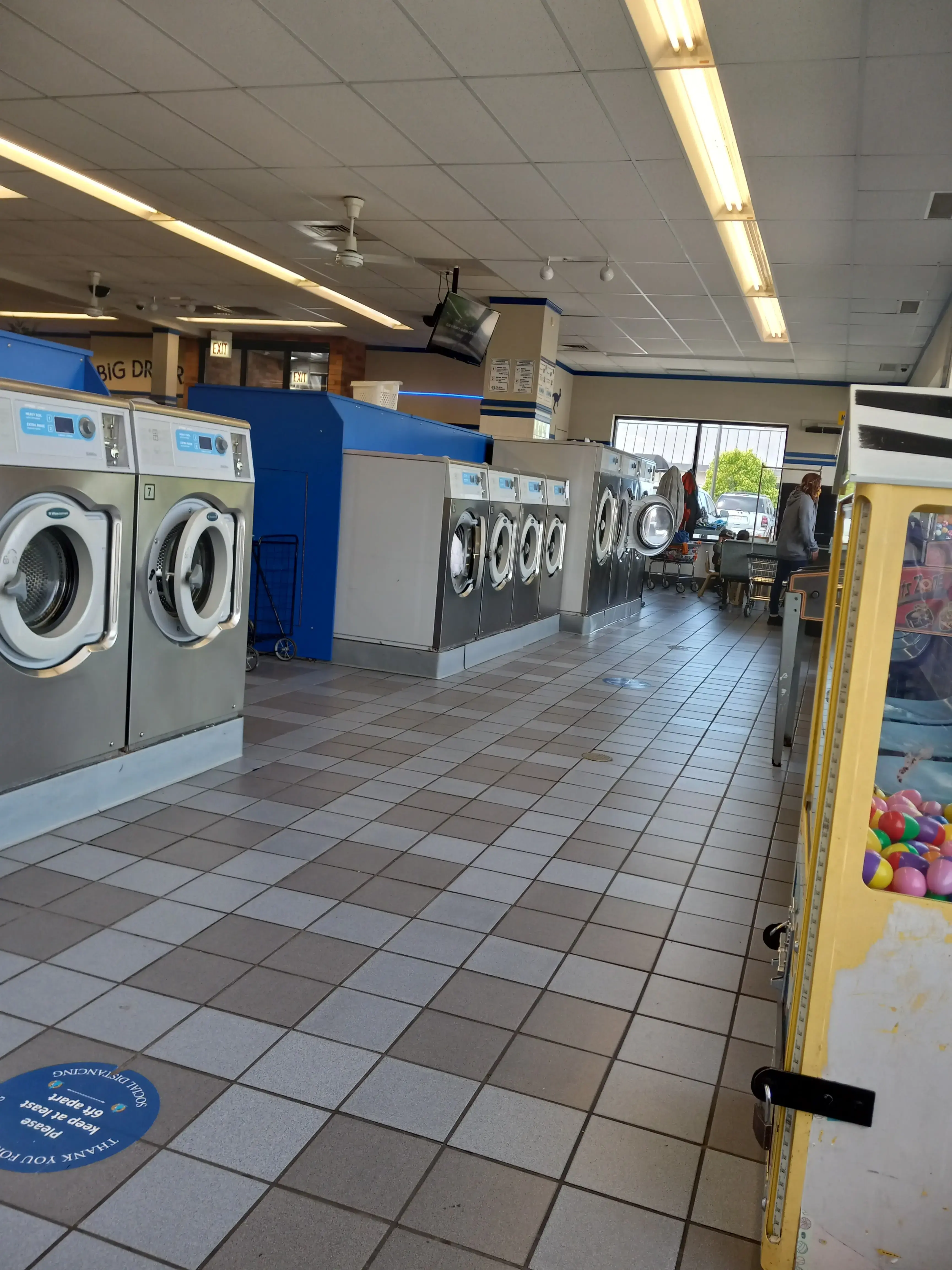 The Blue Kangaroo - Image 12