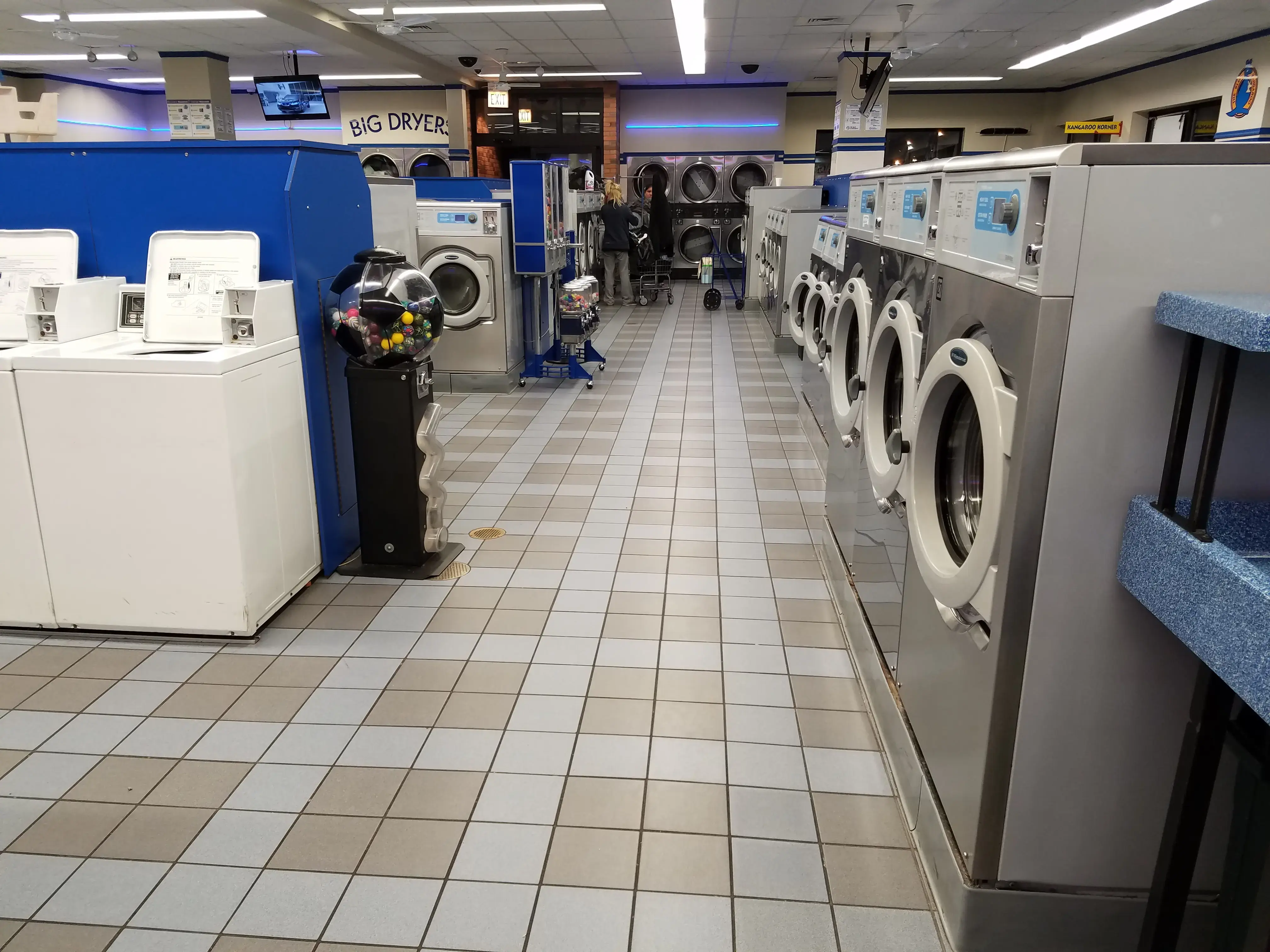 The Blue Kangaroo thumbnail 13