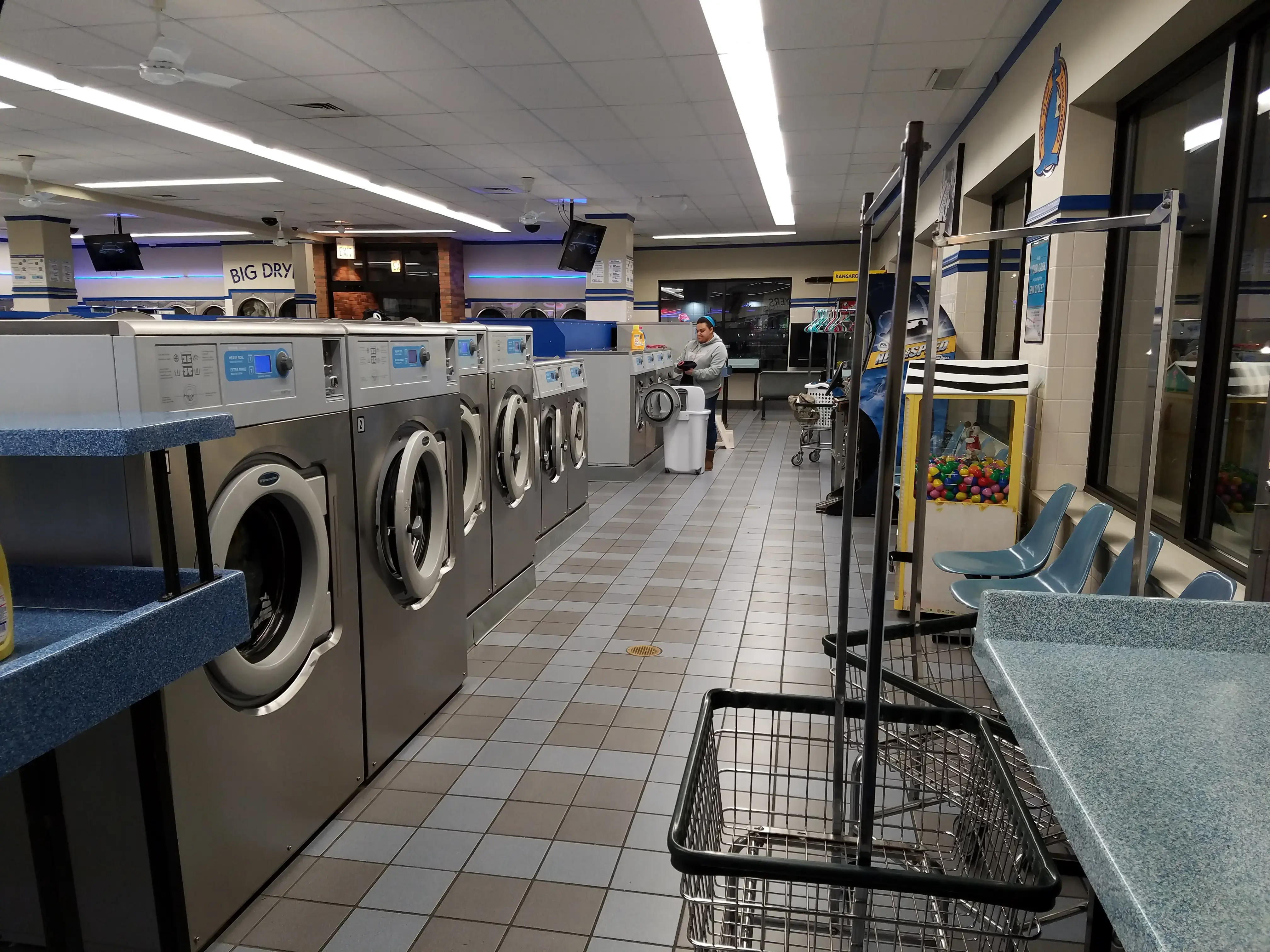 The Blue Kangaroo thumbnail 14