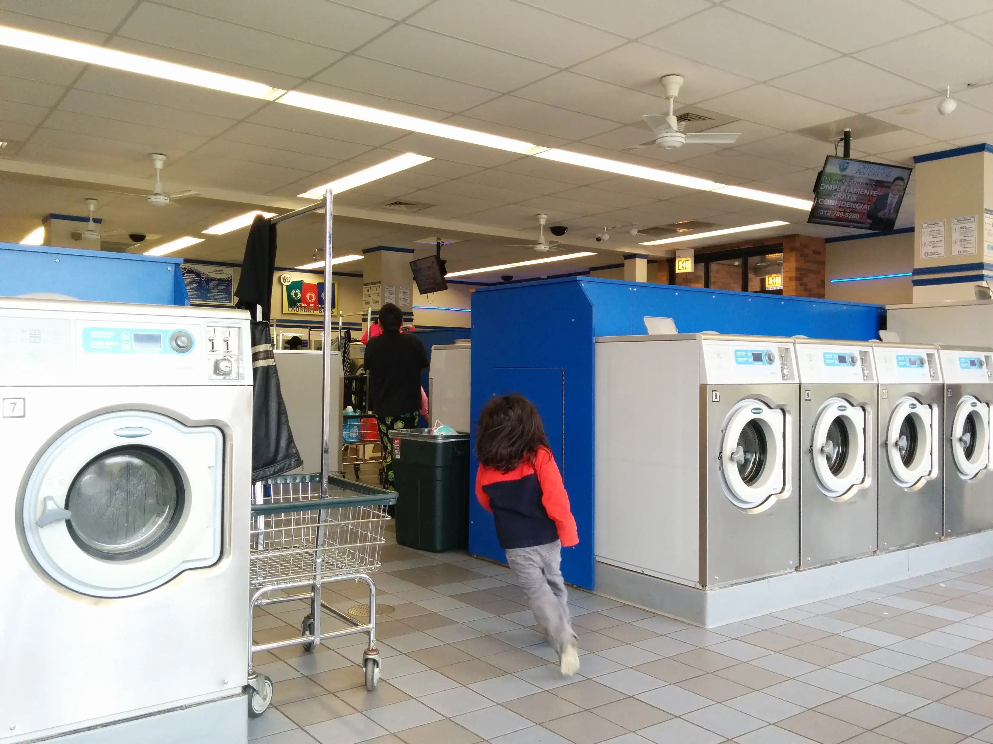 The Blue Kangaroo - Image 17