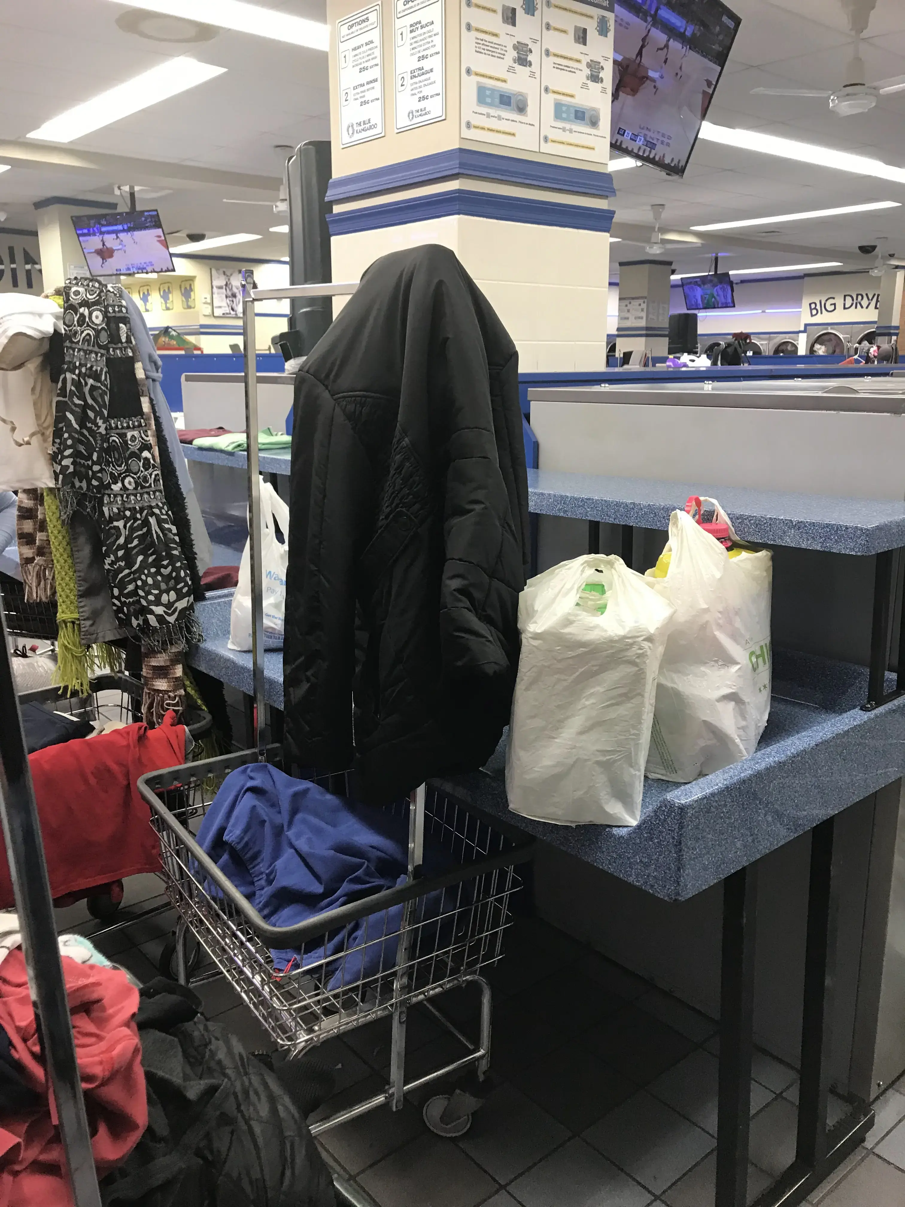 The Blue Kangaroo - Image 4