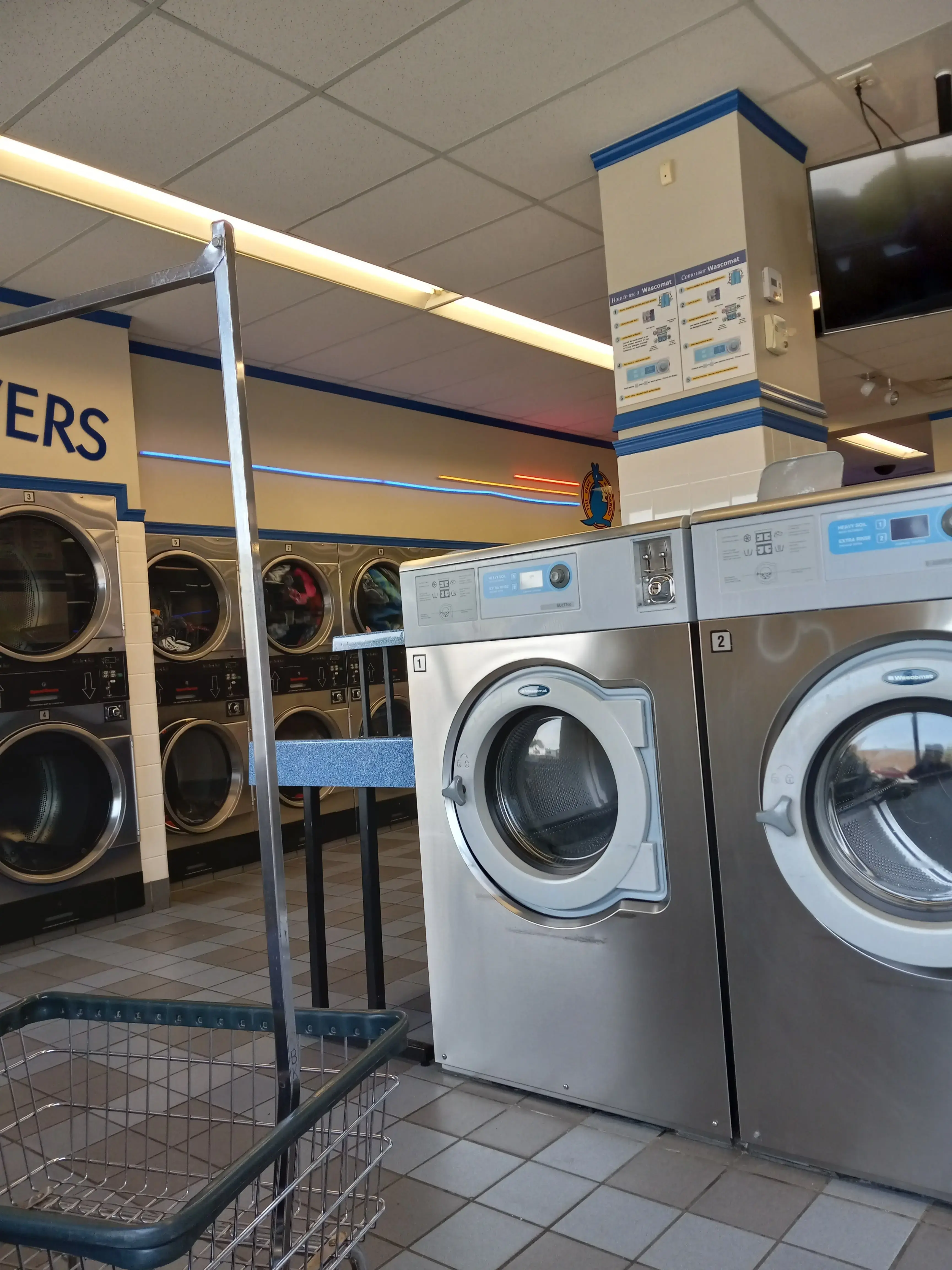 The Blue Kangaroo - Image 1