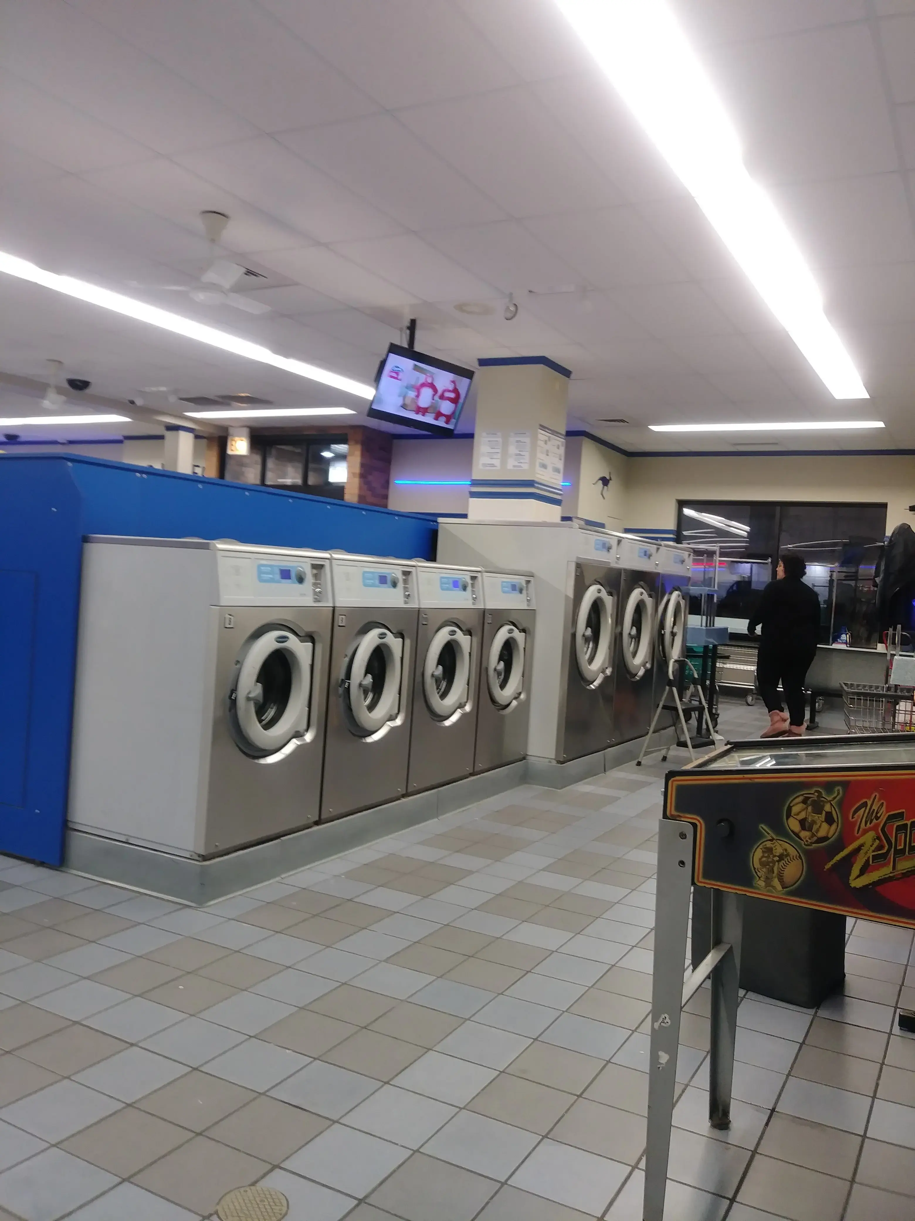 The Blue Kangaroo thumbnail 19