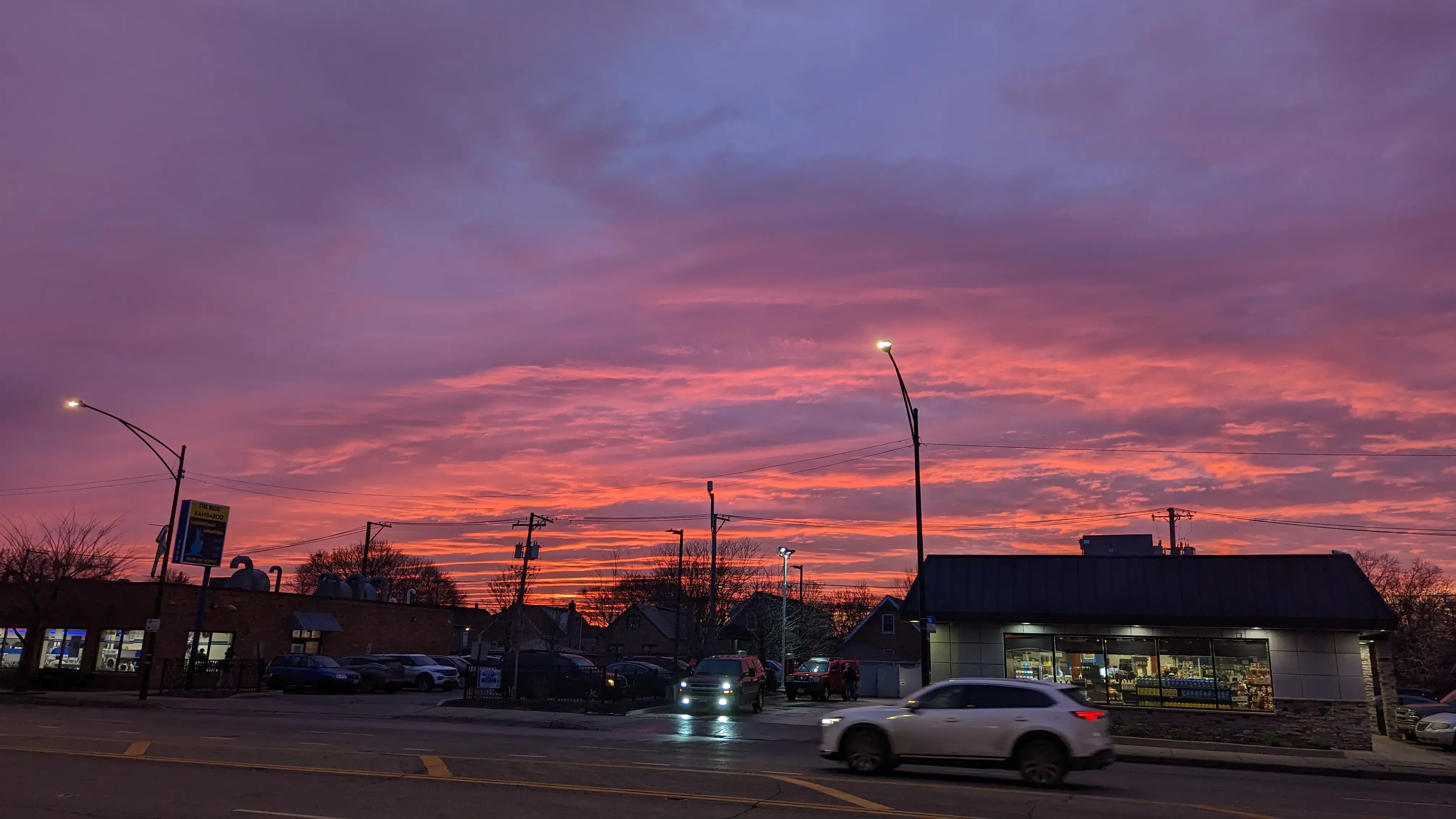 The Blue Kangaroo thumbnail 5