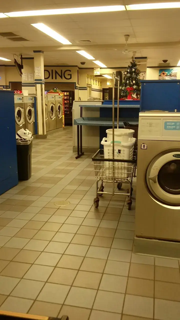 The Blue Kangaroo thumbnail 11