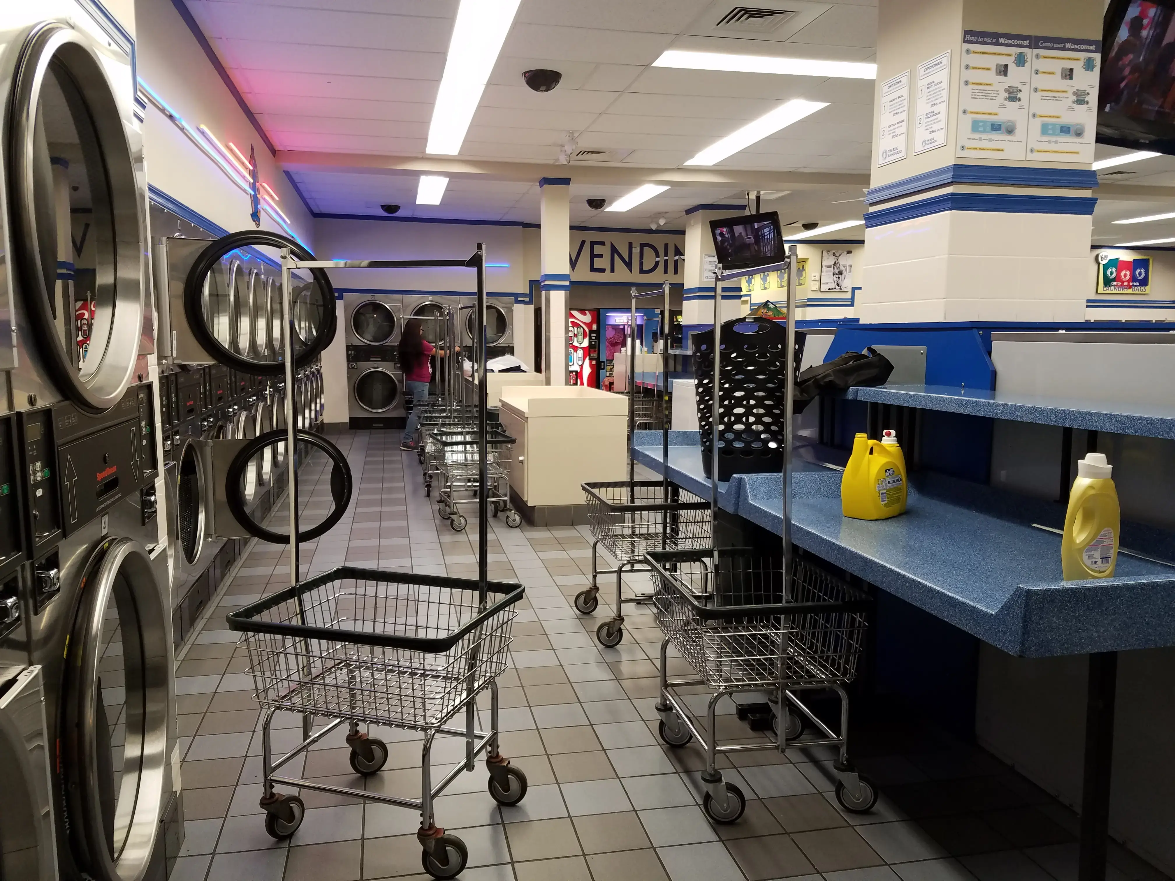 The Blue Kangaroo thumbnail 3