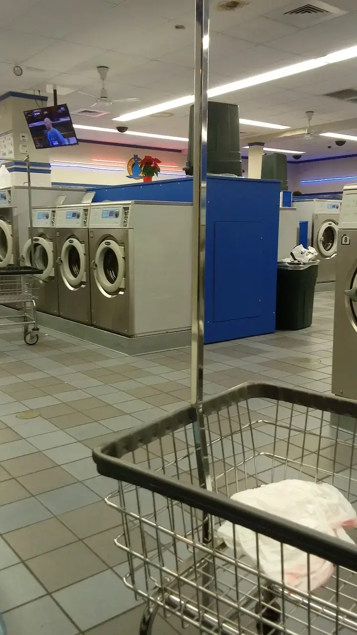 The Blue Kangaroo - Image 15