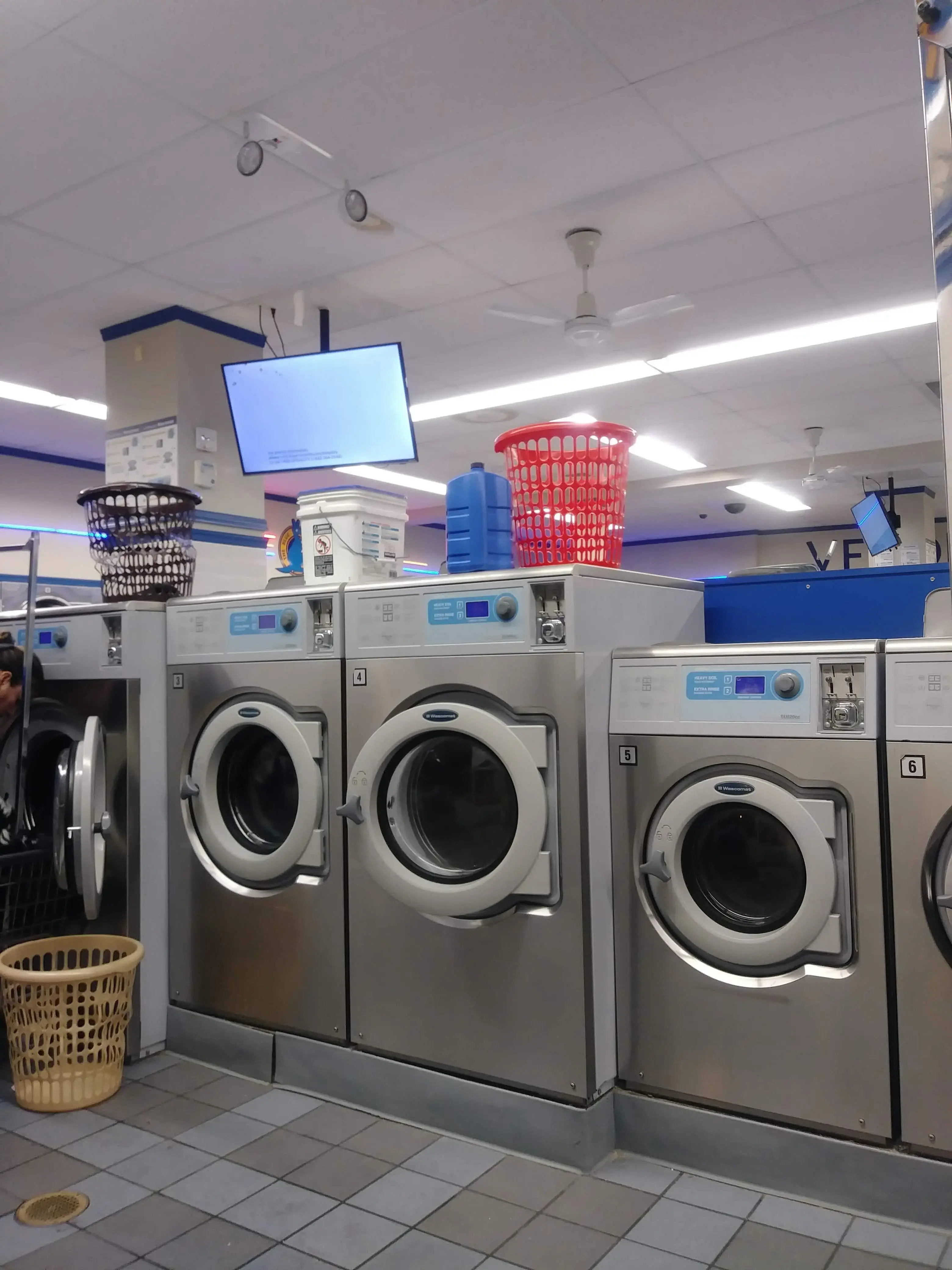 The Blue Kangaroo thumbnail 16