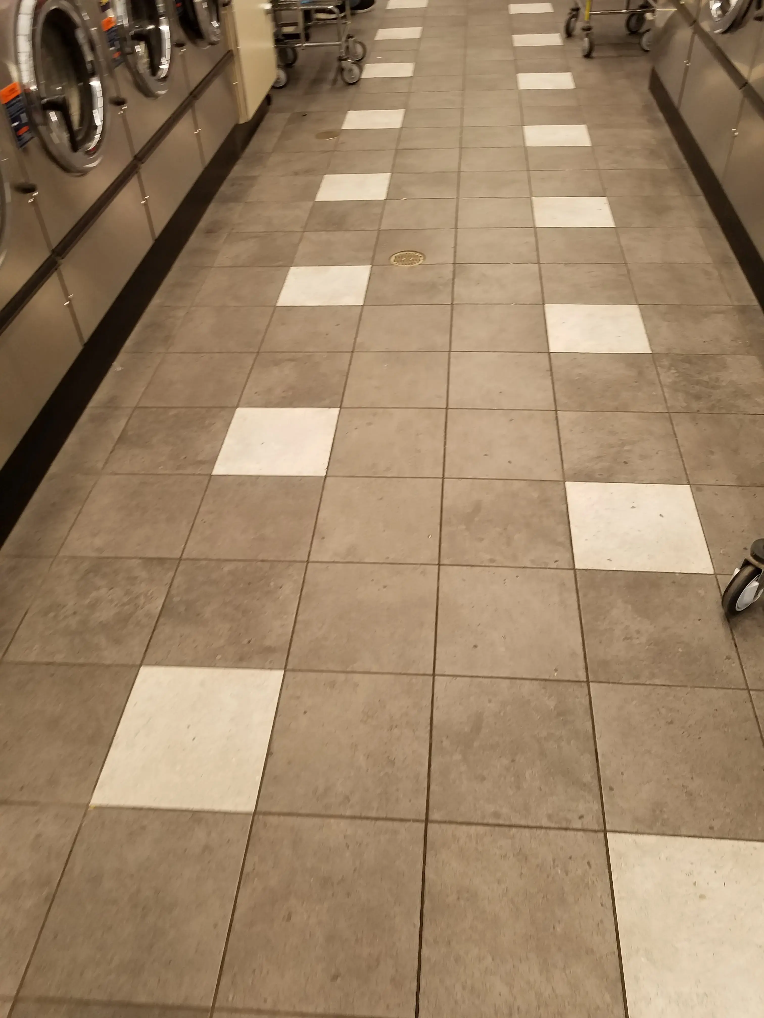 The Blue Kangaroo - Image 15