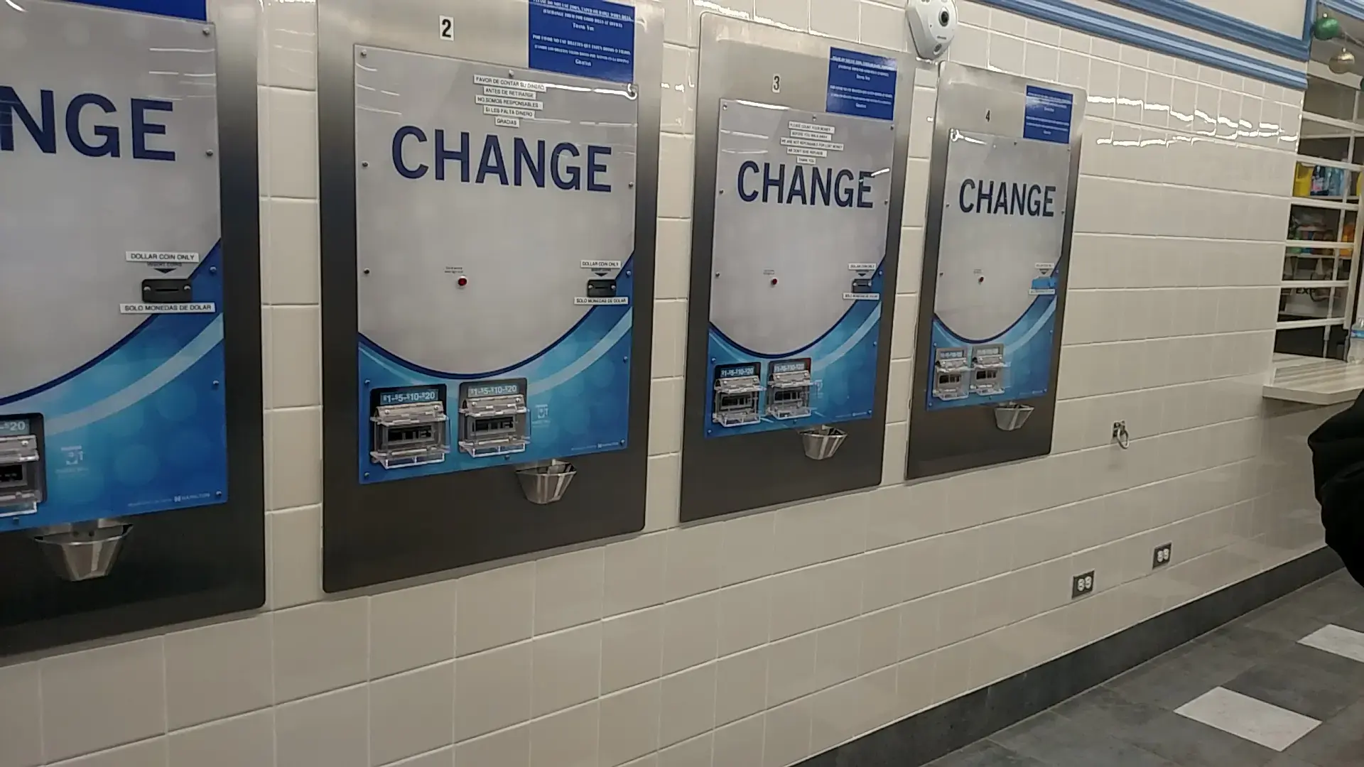 The Blue Kangaroo - Image 11