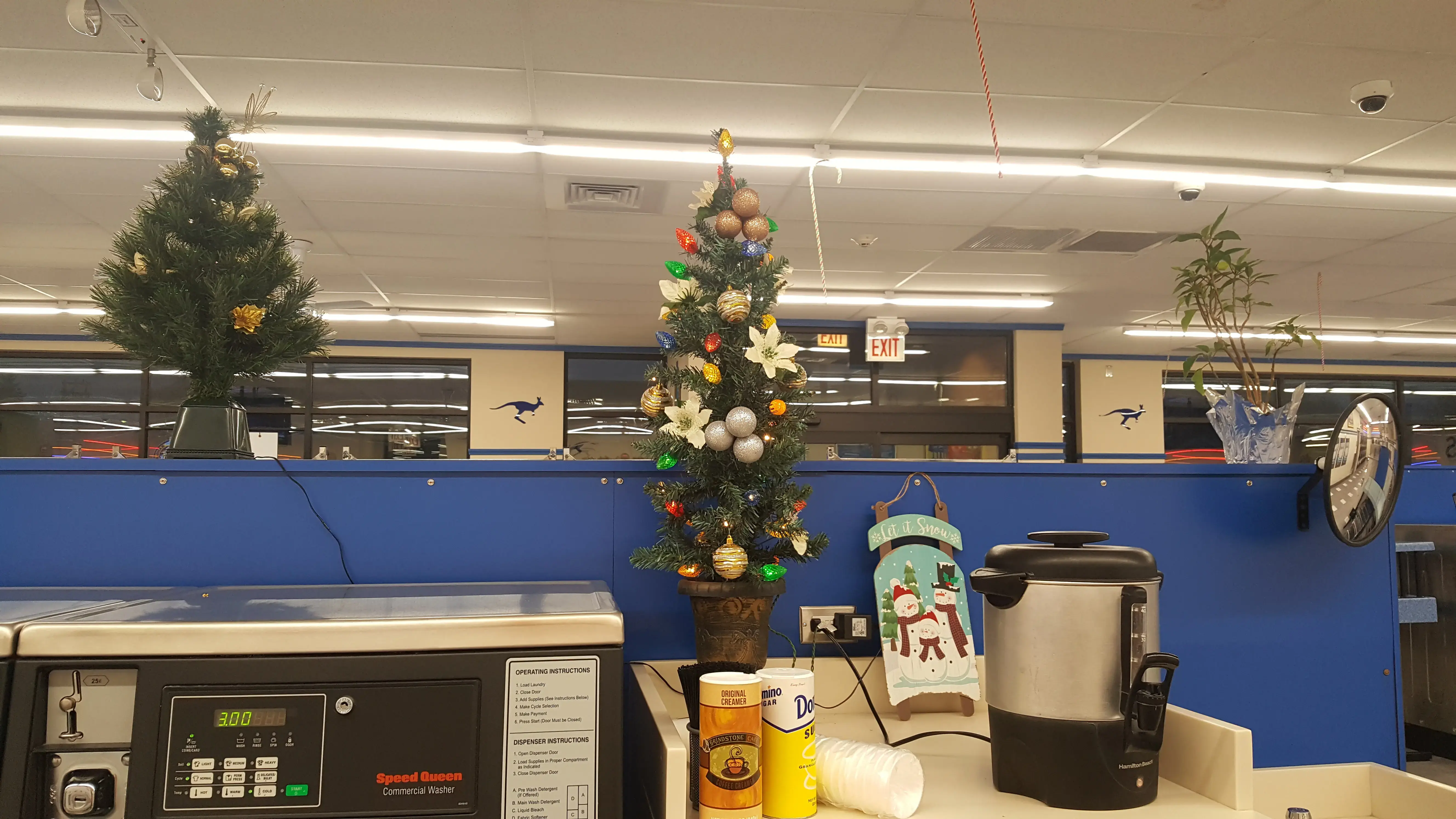 The Blue Kangaroo thumbnail 6