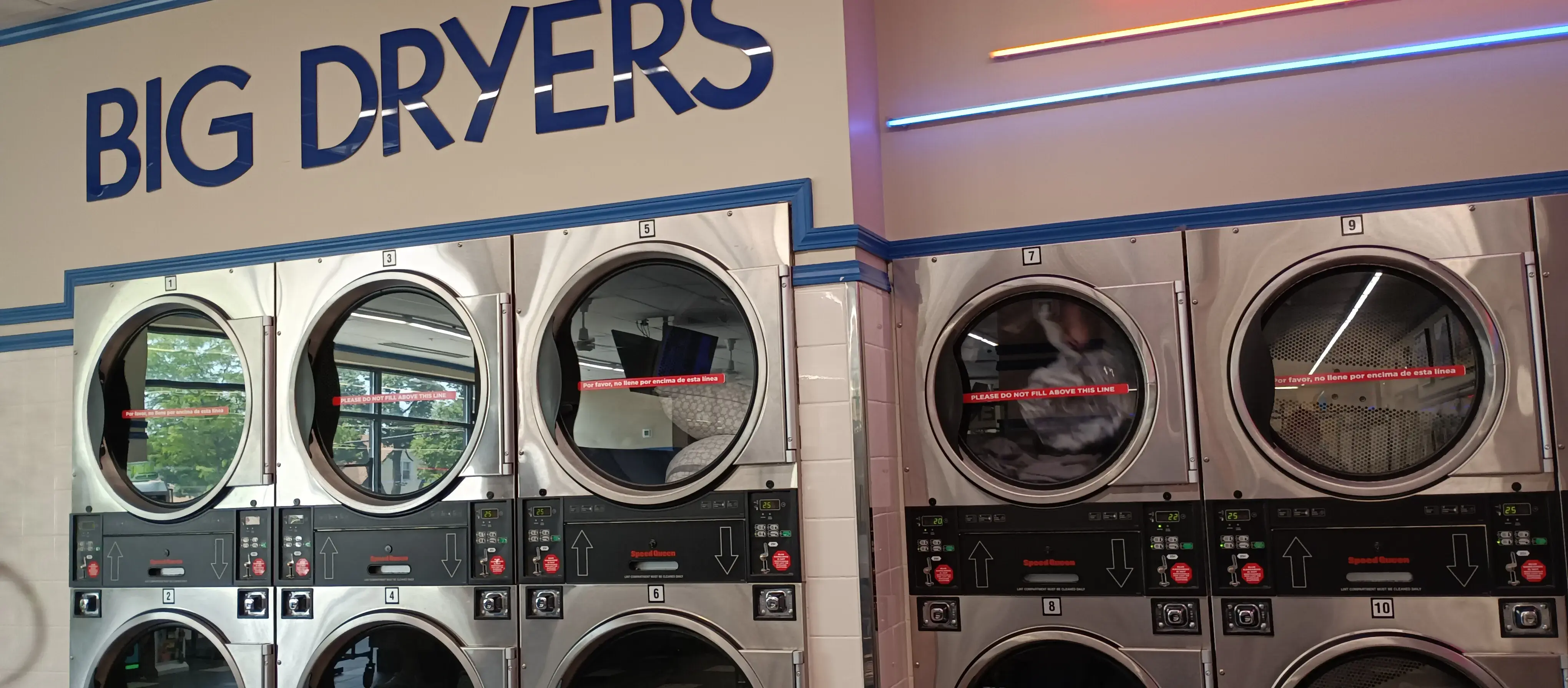 The Blue Kangaroo thumbnail 9