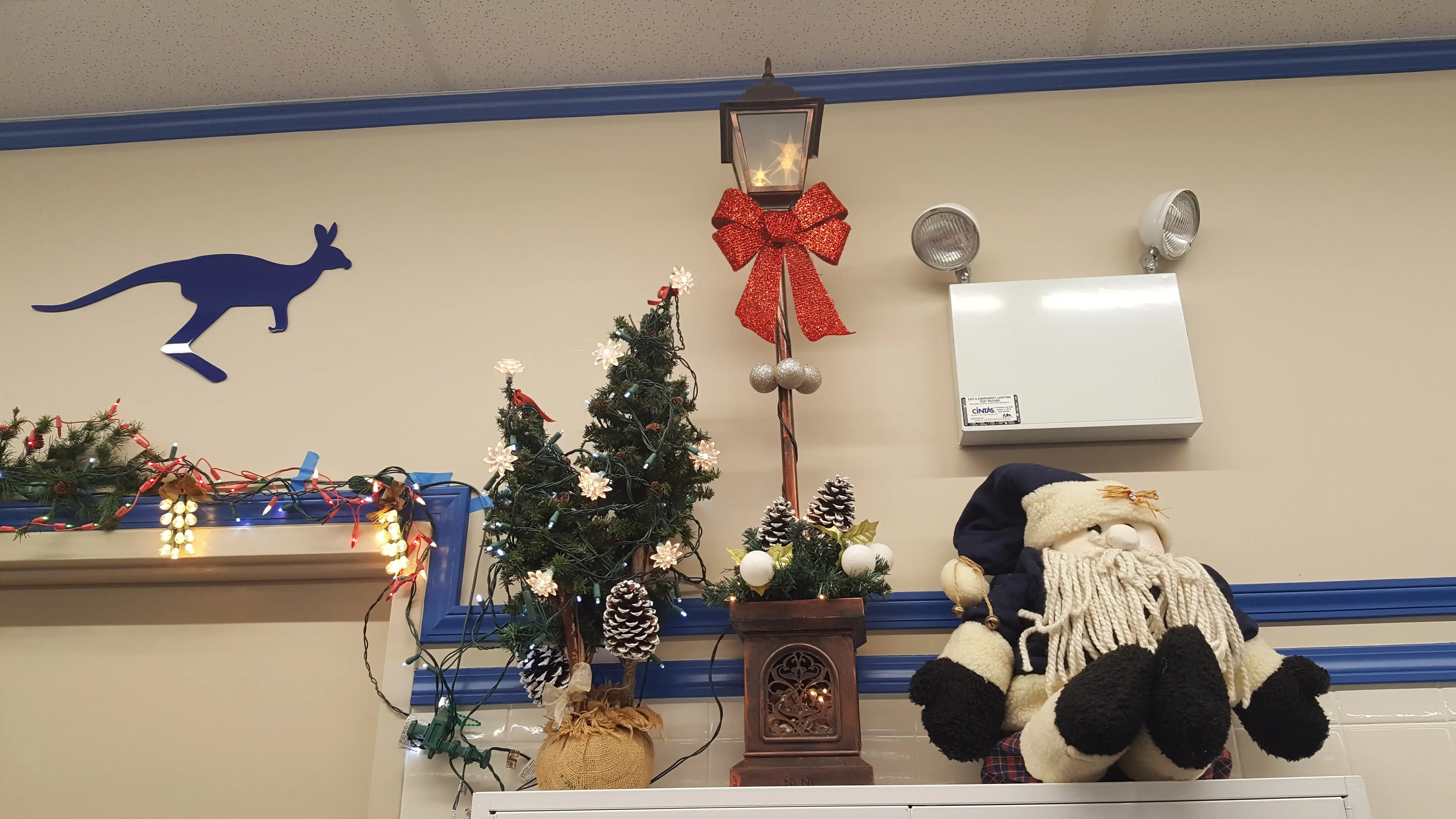 The Blue Kangaroo - Image 2