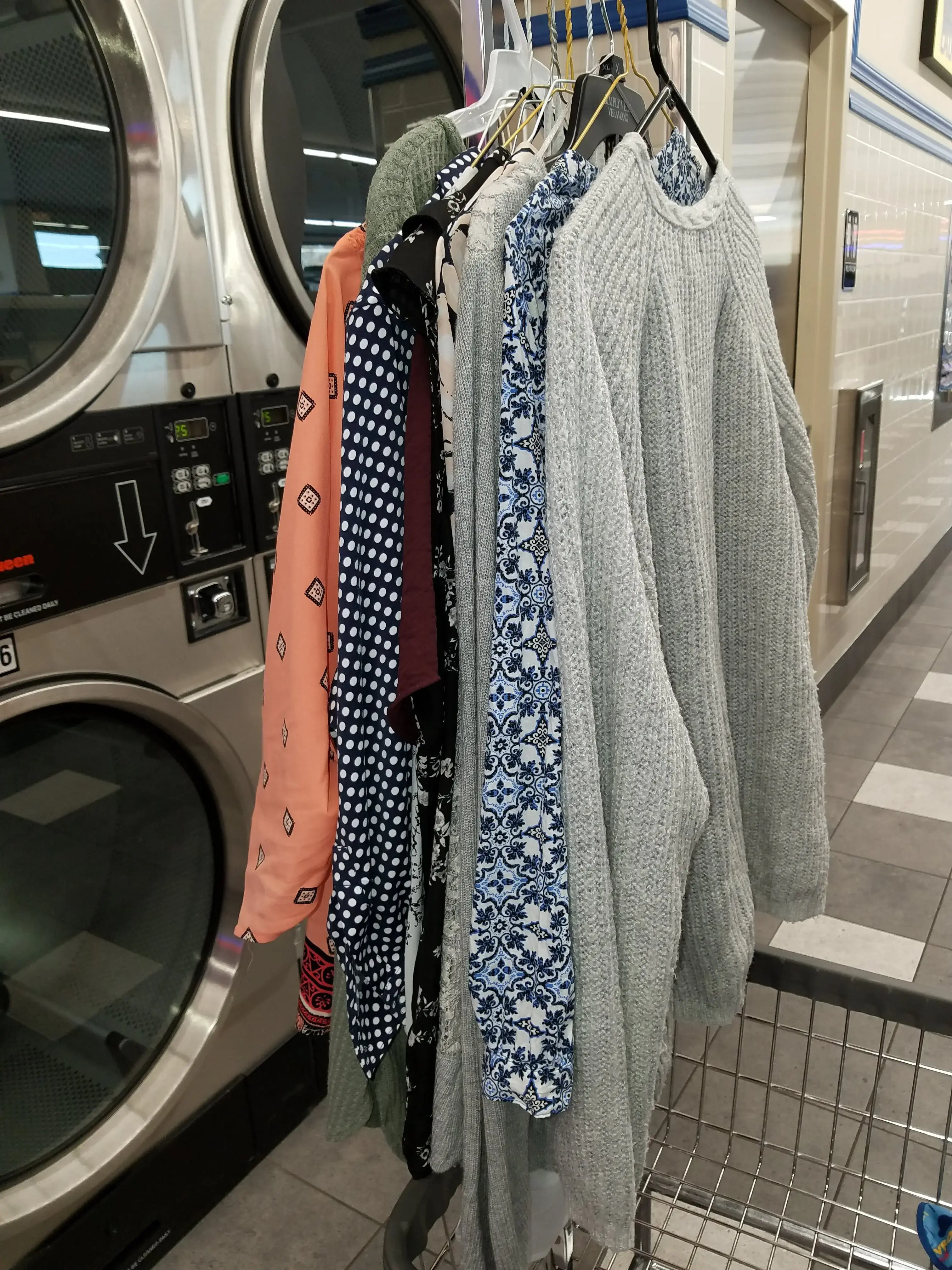 The Blue Kangaroo thumbnail 19