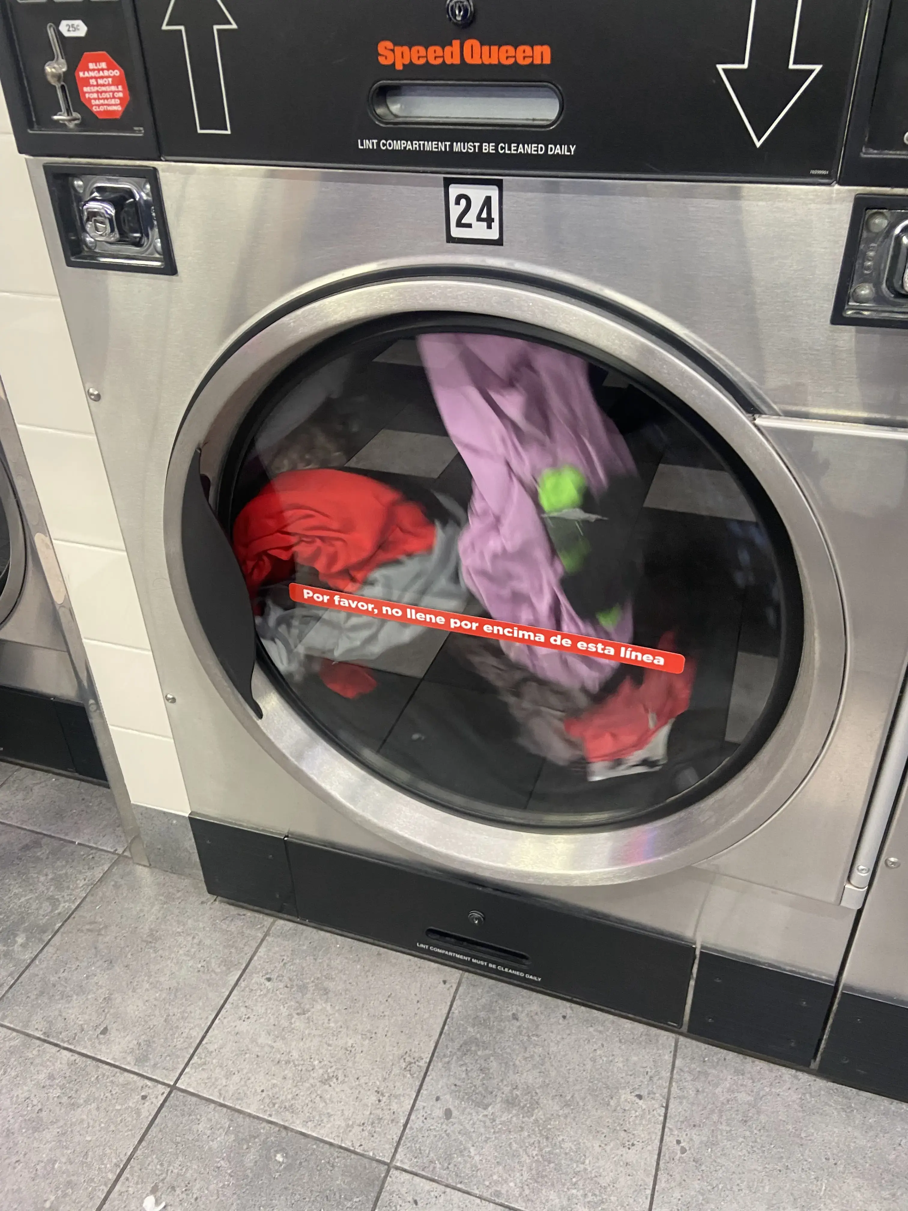 The Blue Kangaroo - Image 4