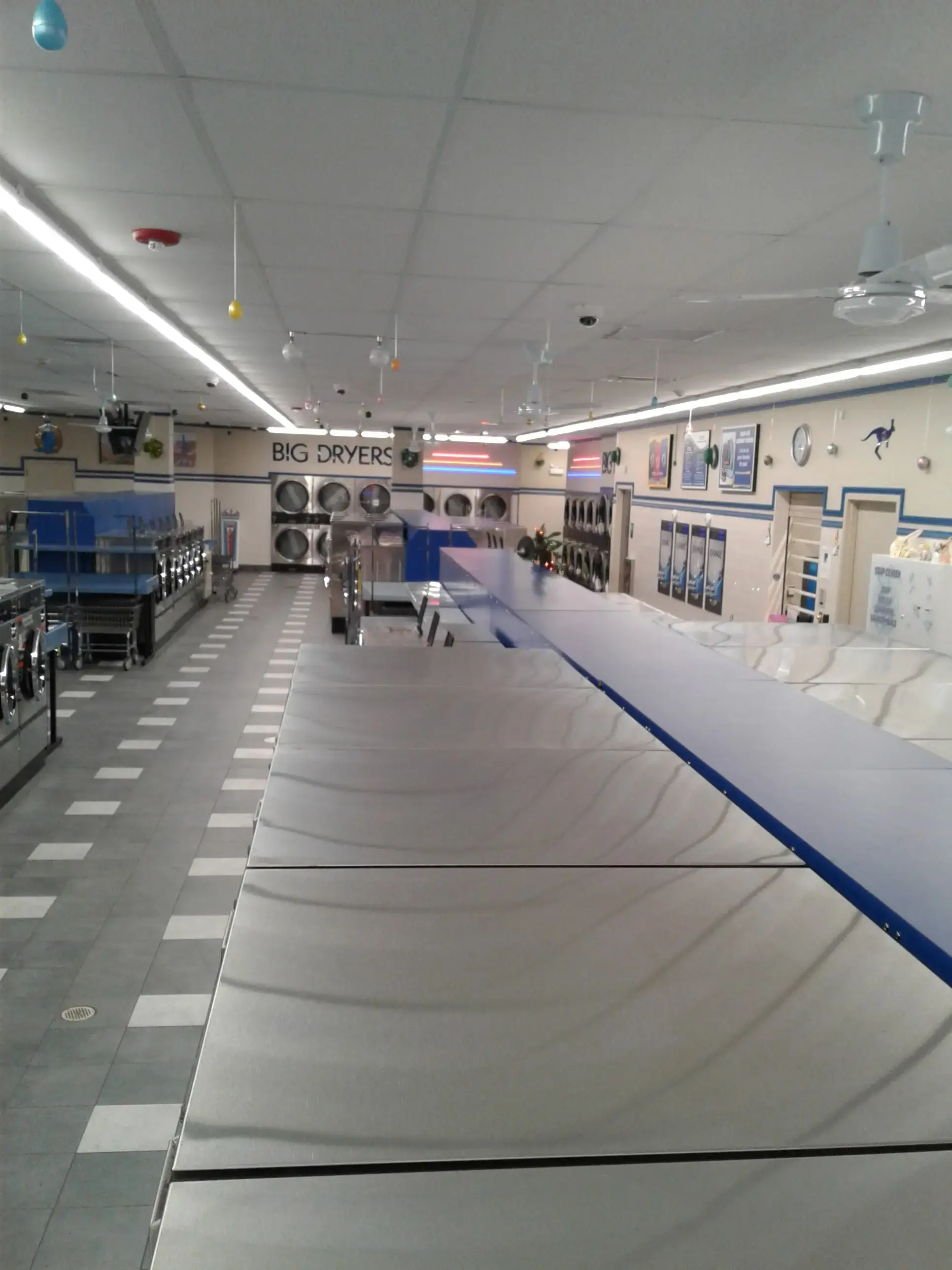 The Blue Kangaroo - Image 8