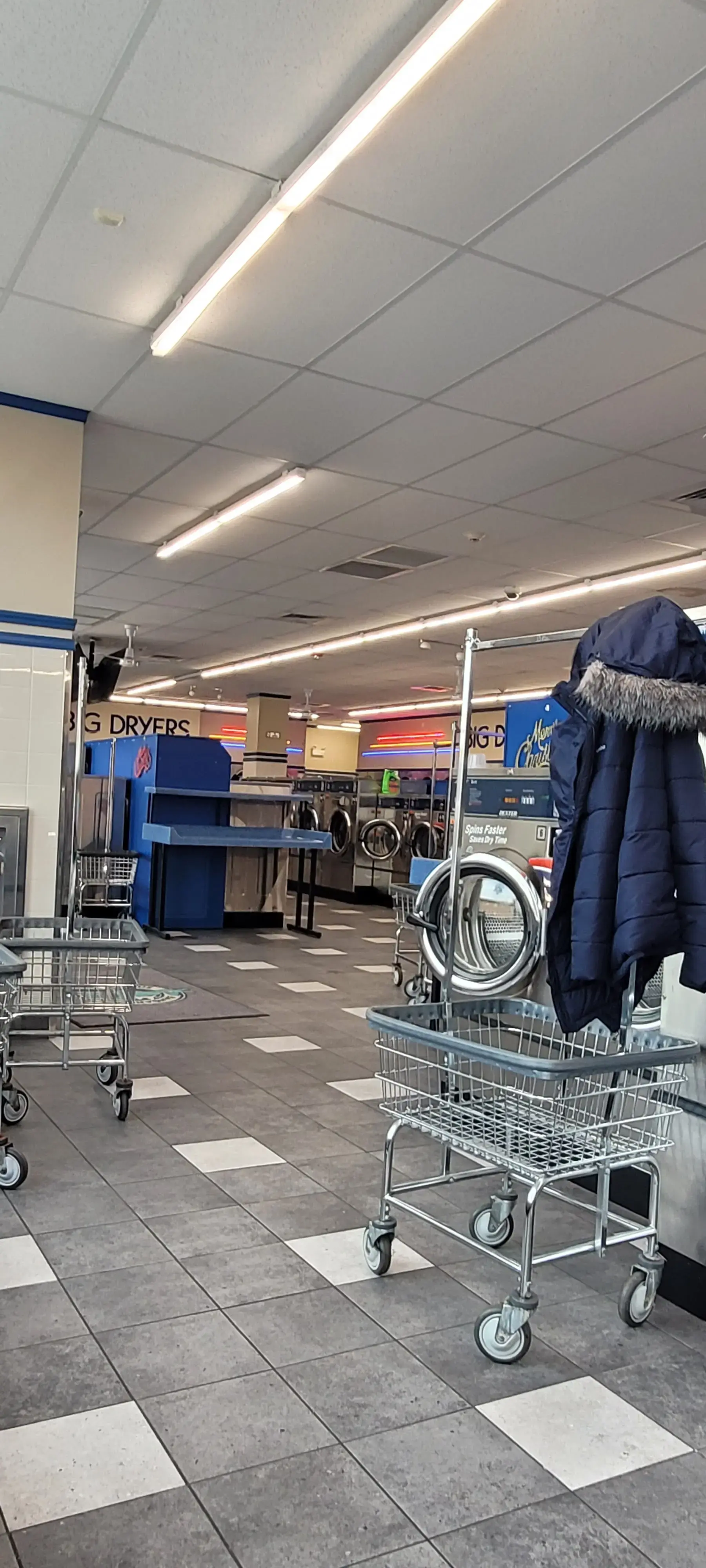 The Blue Kangaroo - Image 5