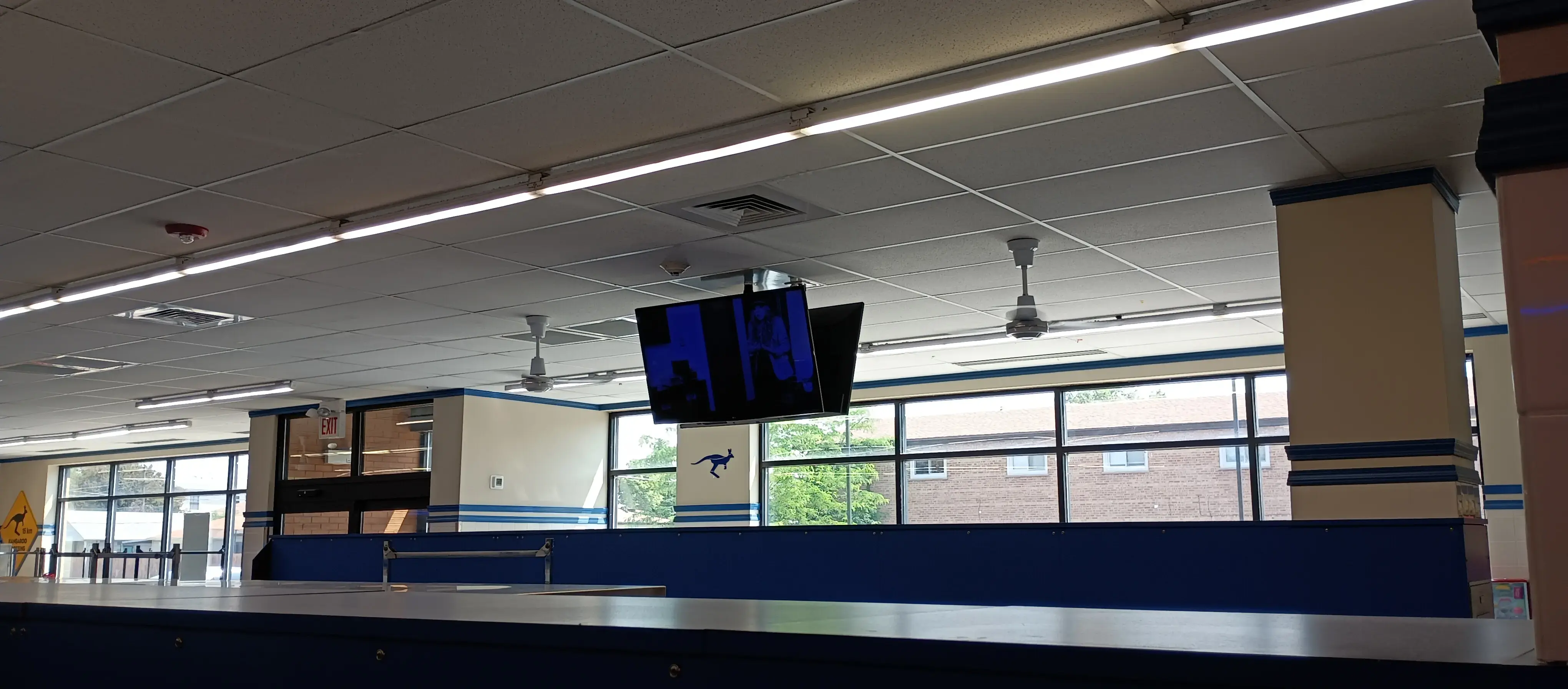 The Blue Kangaroo - Image 14