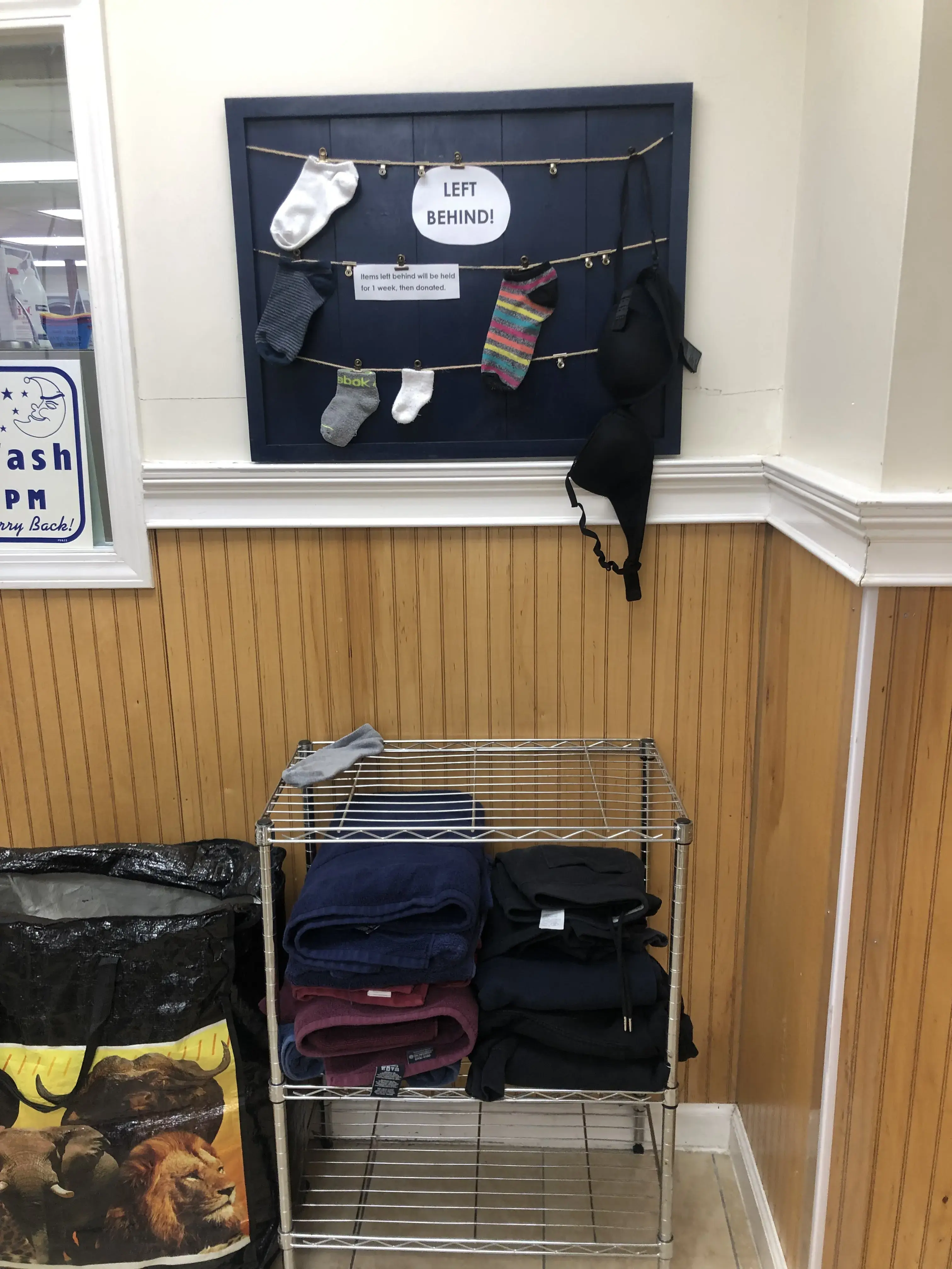 The Bubble Basin thumbnail 7