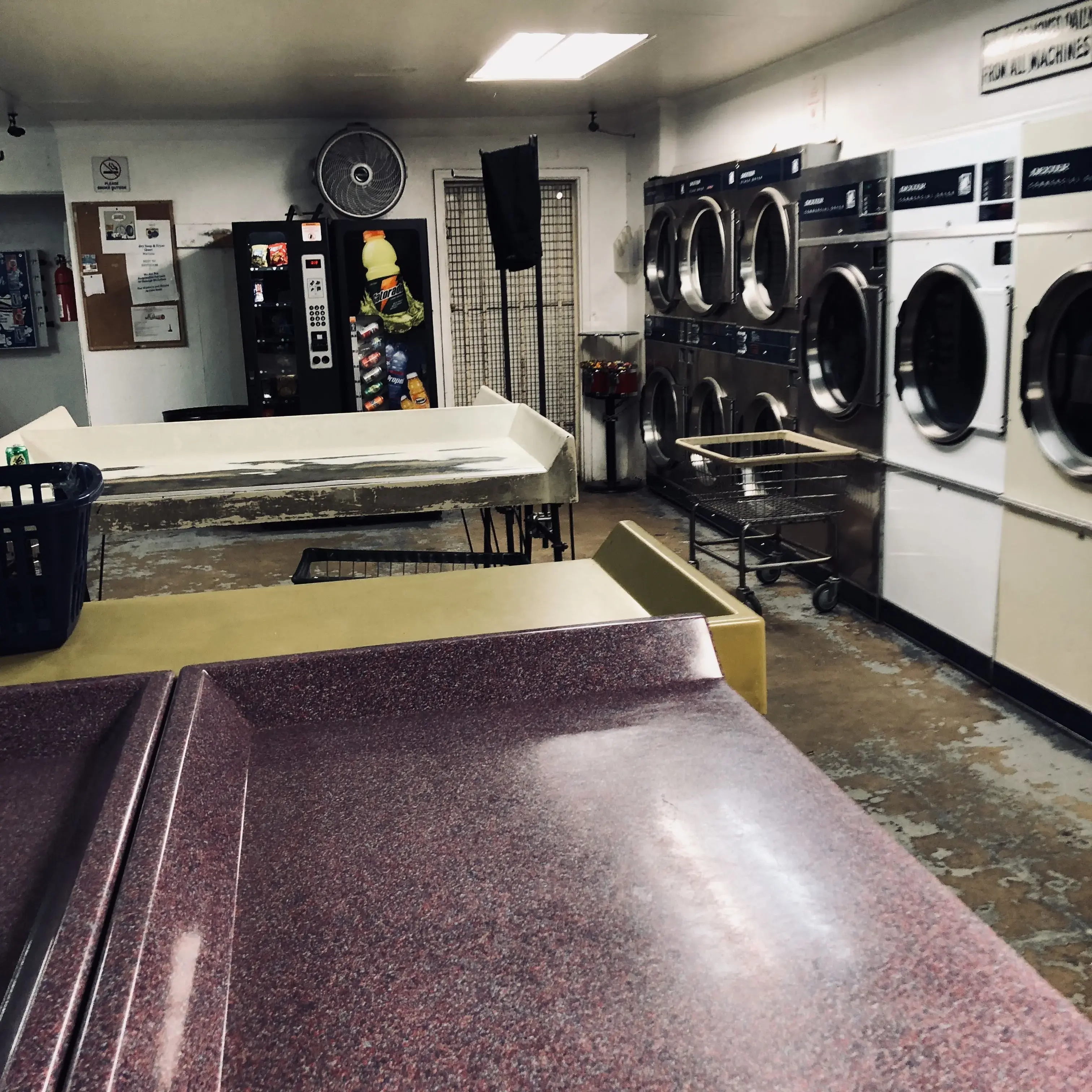 The Bunn Wash - Image 14