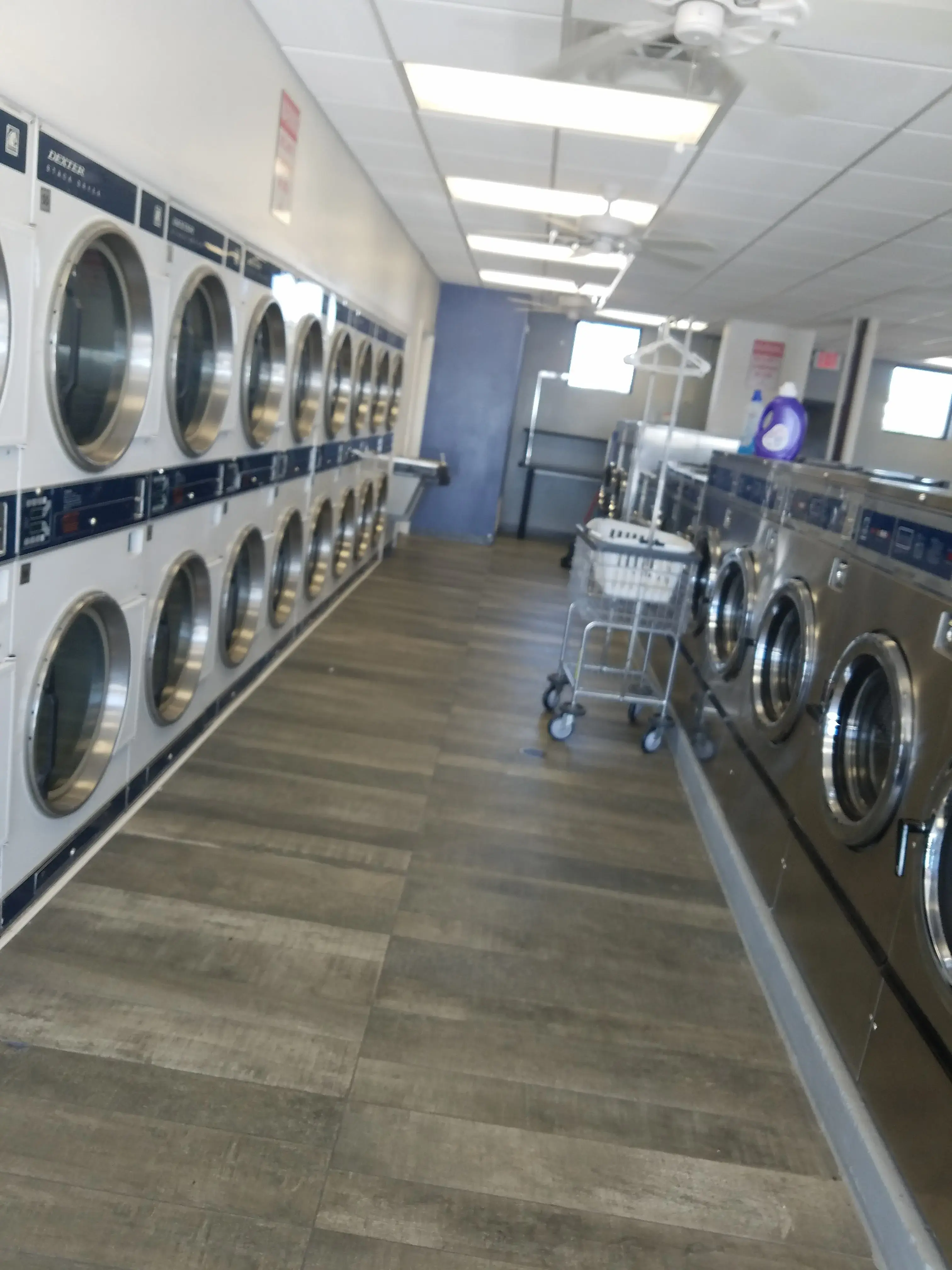 The Cleaners thumbnail 3