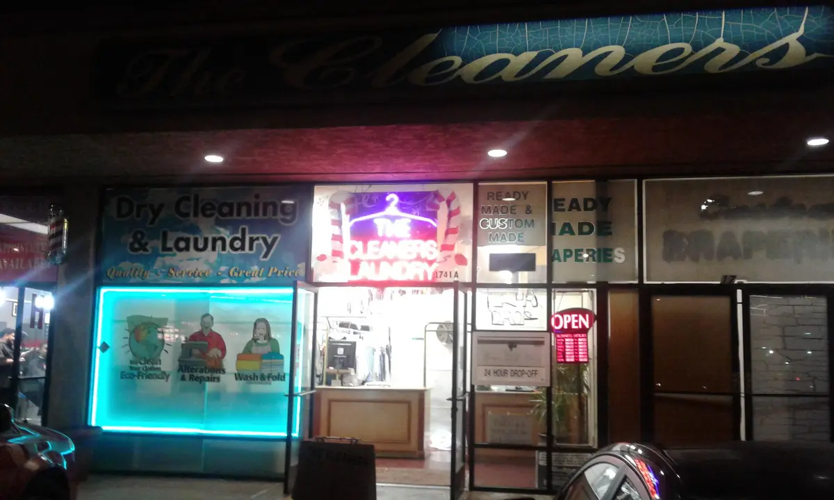 The Cleaners - Image 3