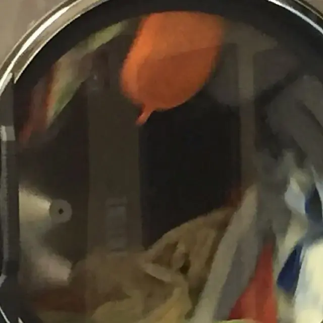 The Clothes Spin - Image 11